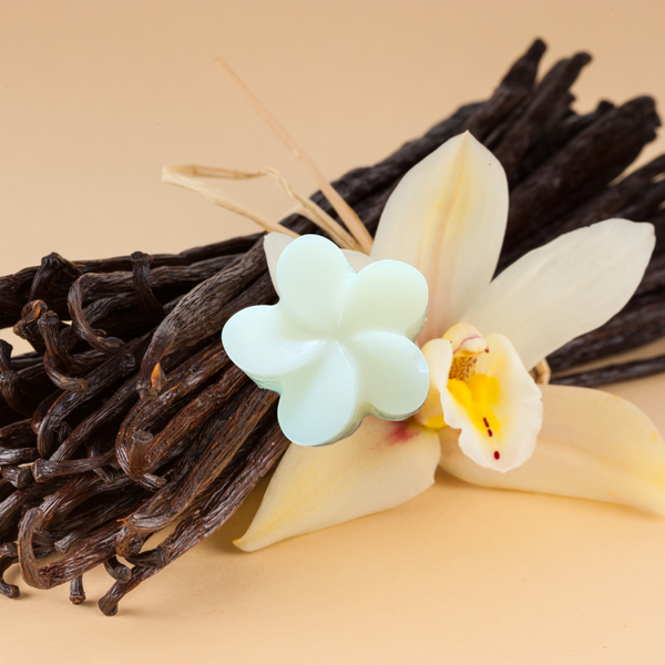 FONDANT PARFUMÉ VANILLE GOURMANDE
