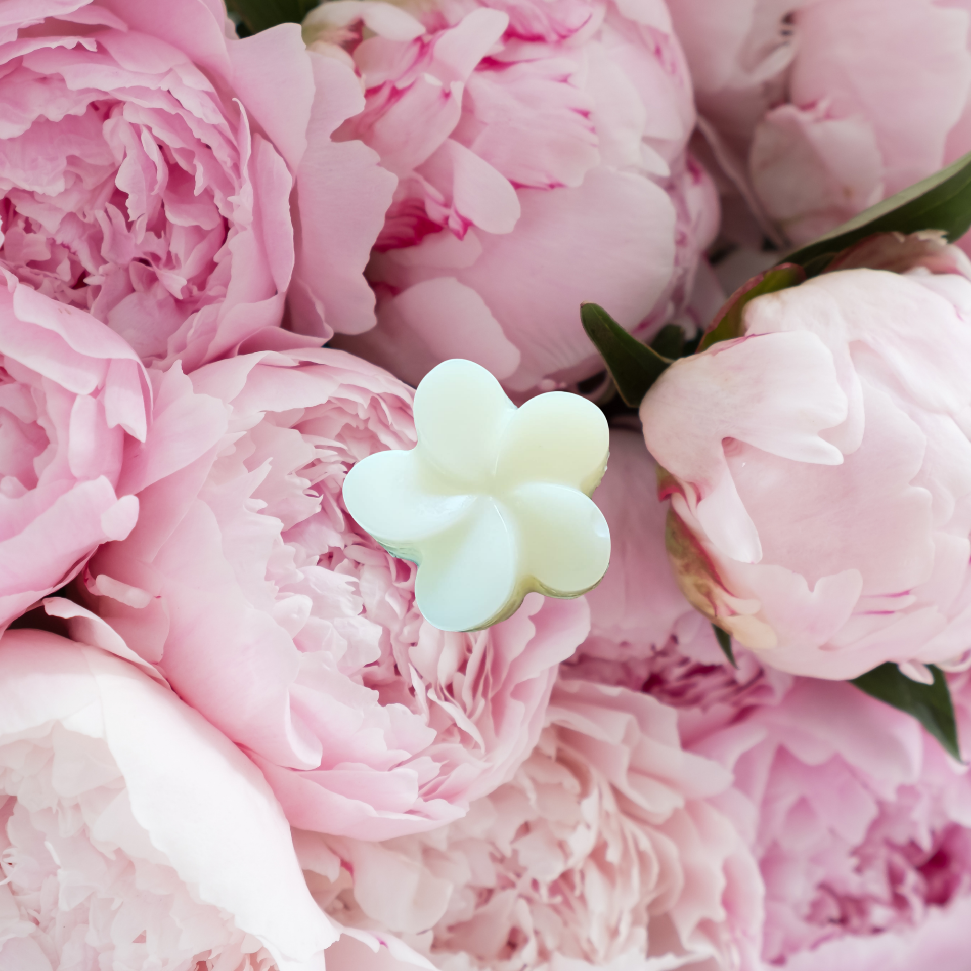FONDANT PARFUMÉ PIVOINE