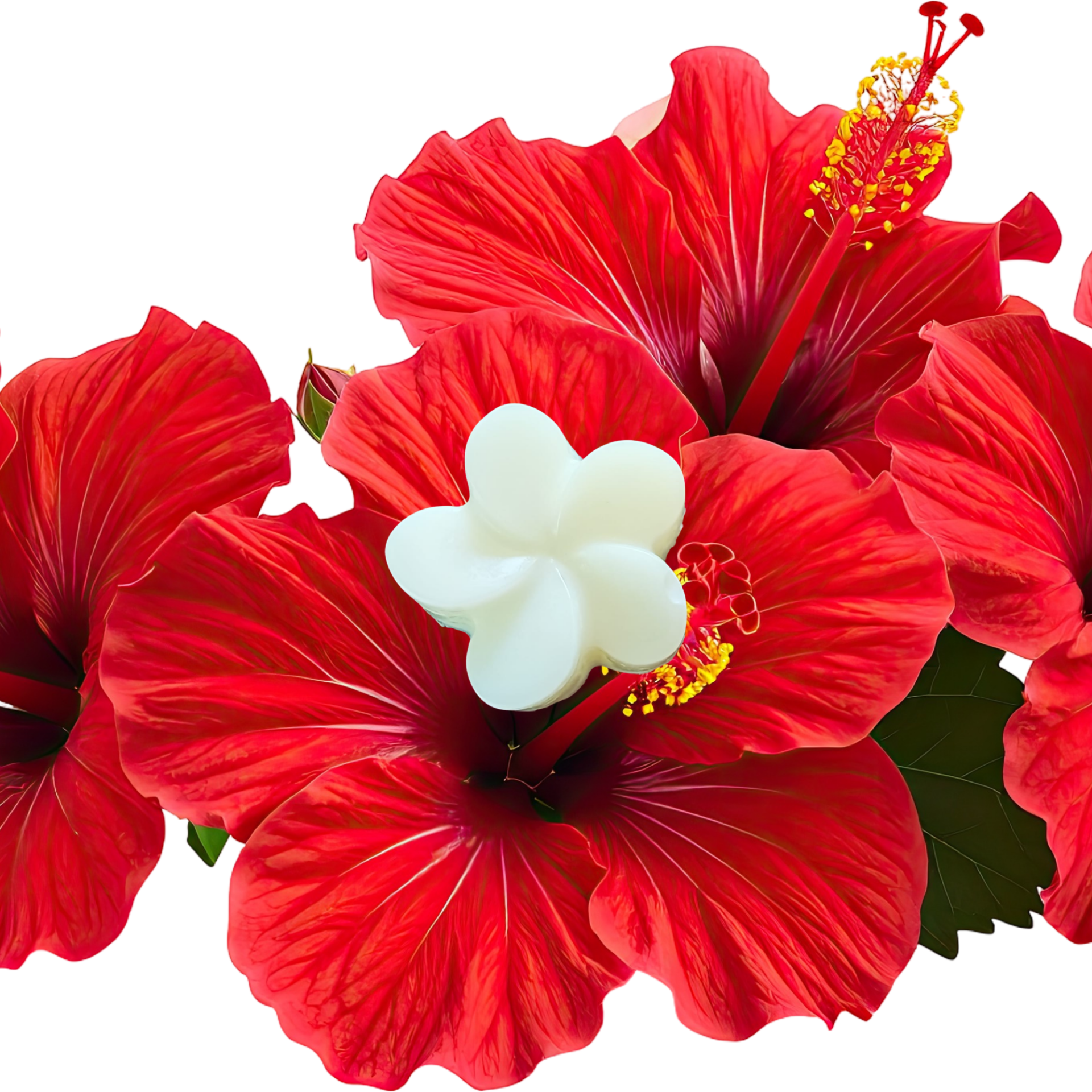 FONDANT PARFUMÉ HIBISCUS