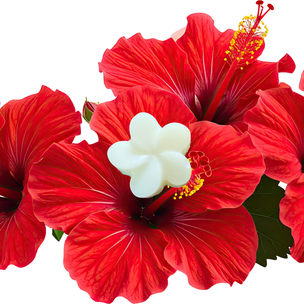 FONDANT PARFUMÉ HIBISCUS