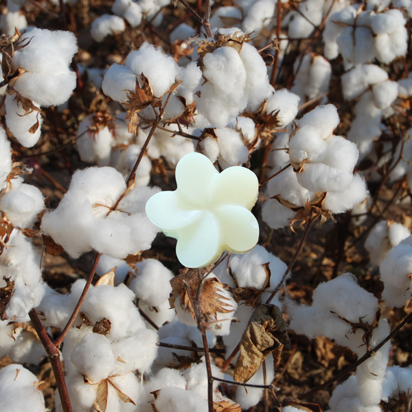 FONDANT PARFUMÉ FLEUR DE COTON