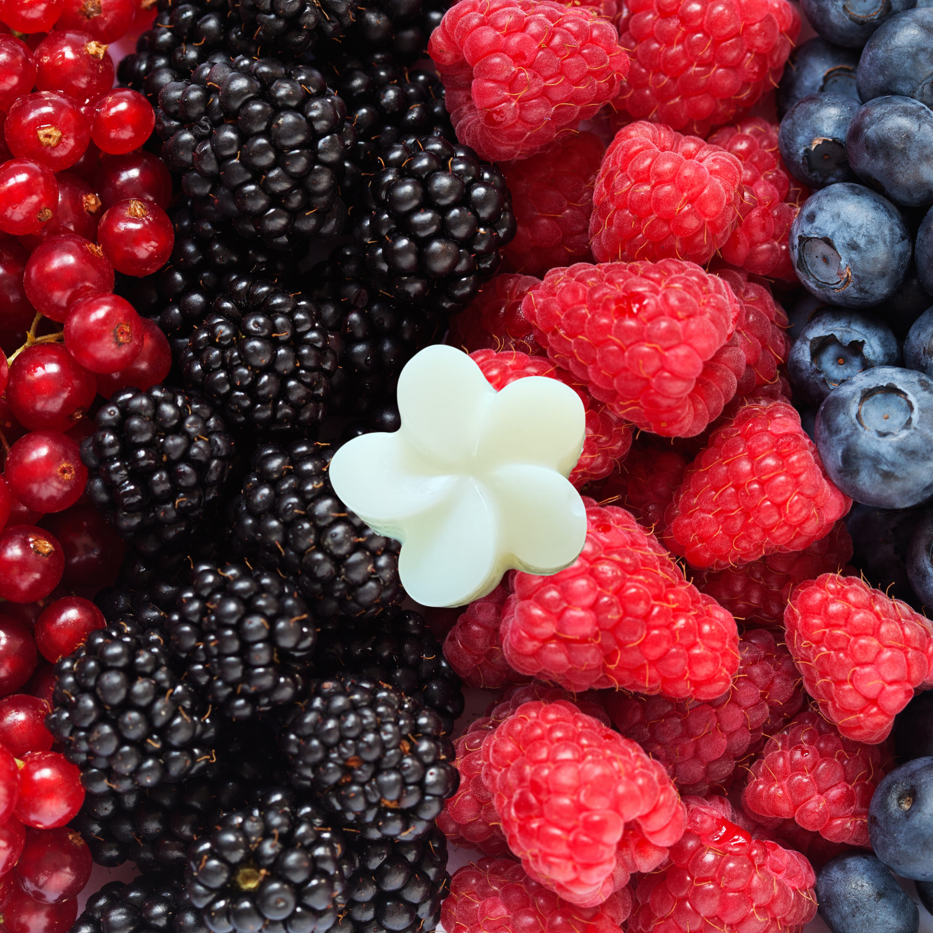 FONDANT PARFUMÉ FRUITS-ROUGES