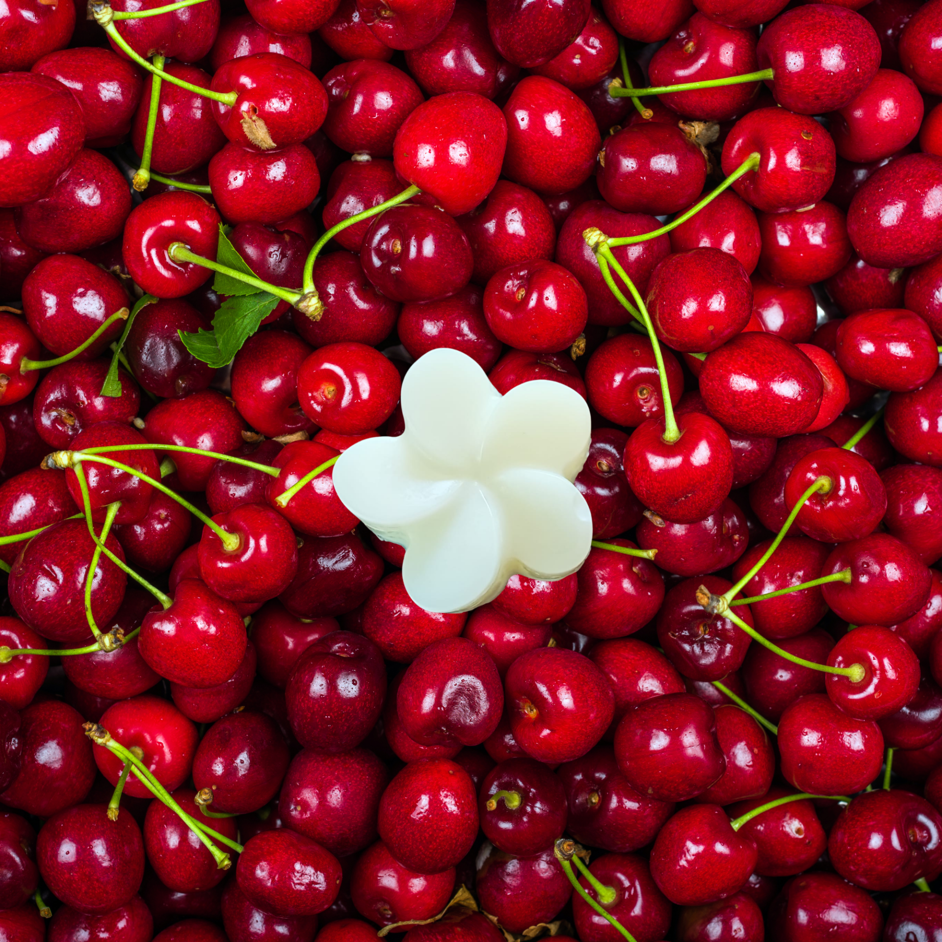 FONDANT PARFUMÉ CERISE