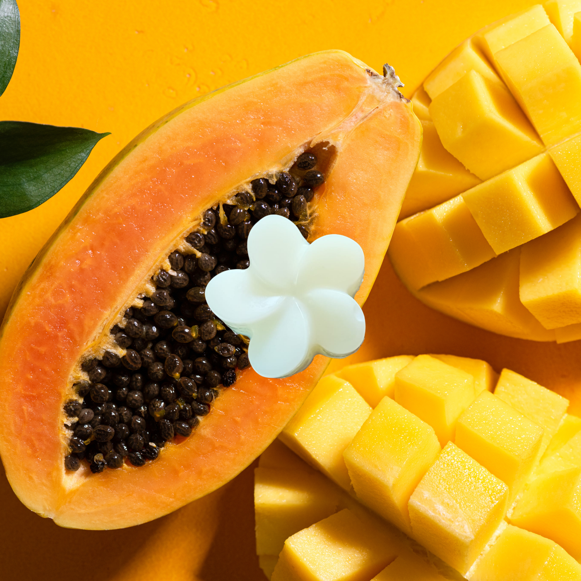 FONDANT PARFUMÉ MANGUE-PAPAYE