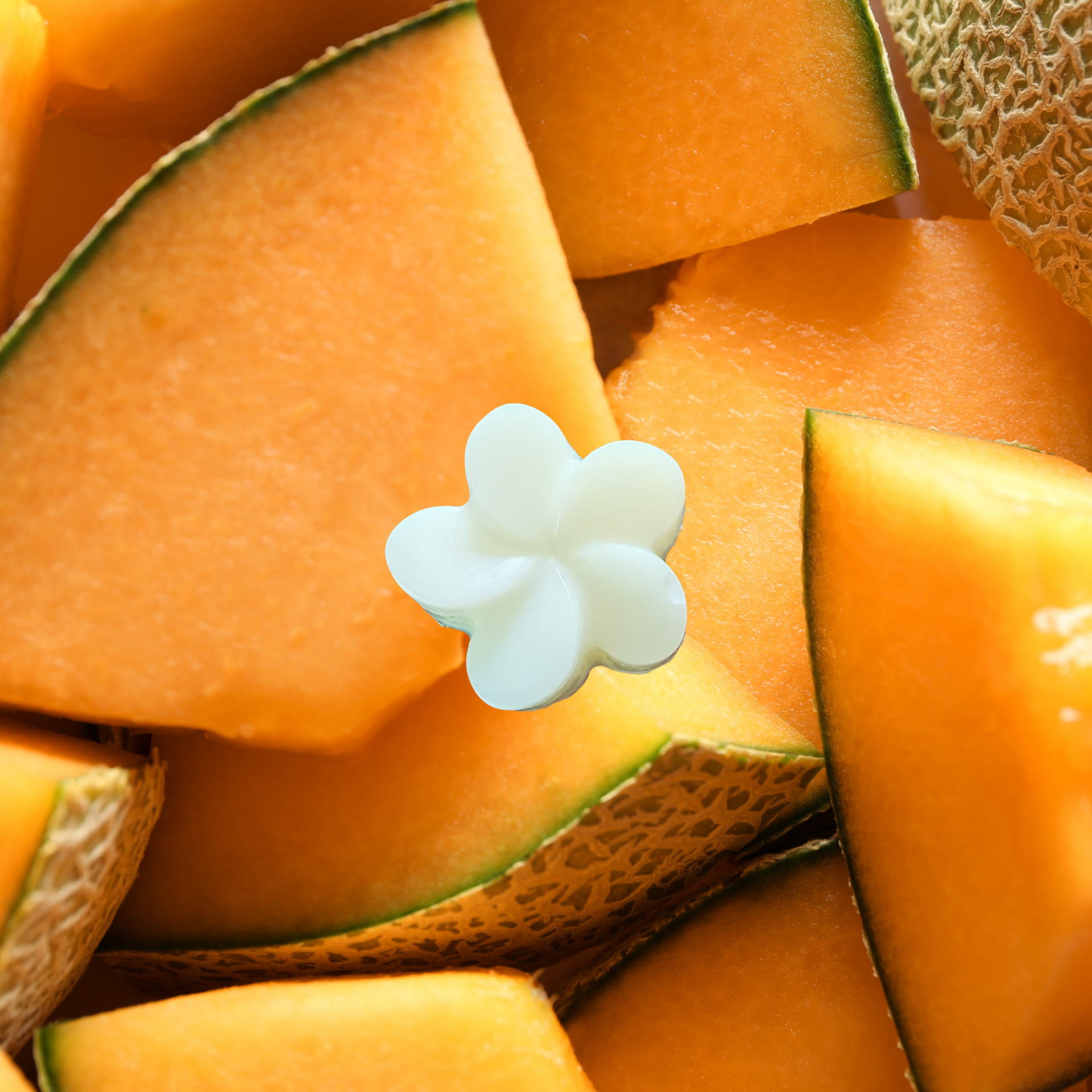 FONDANT PARFUMÉ MELON