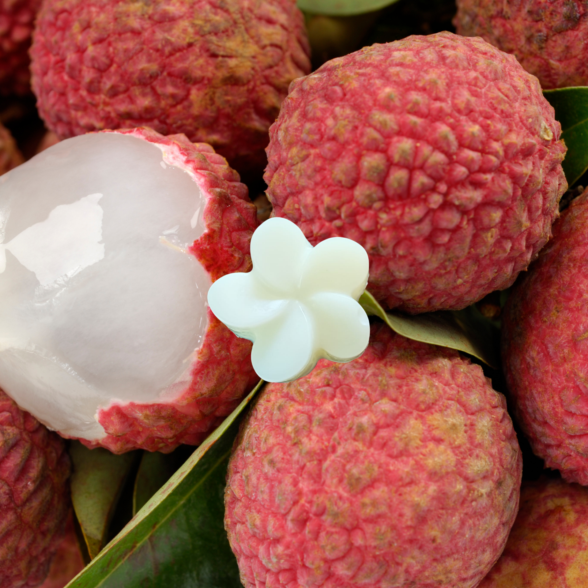 FONDANT PARFUMÉ LITCHI