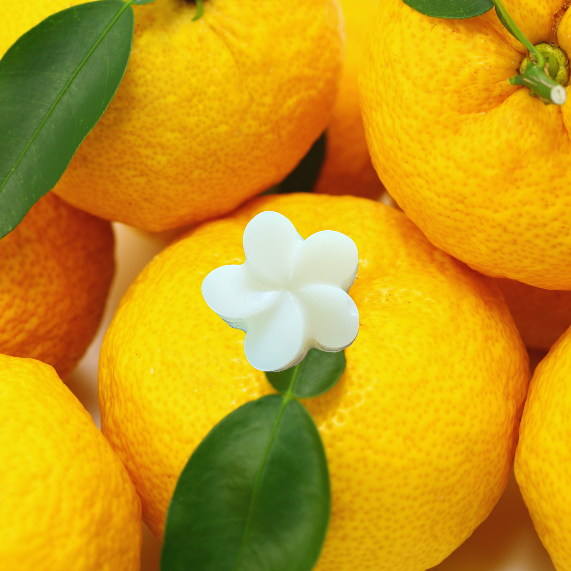FONDANT PARFUMÉ YUZU