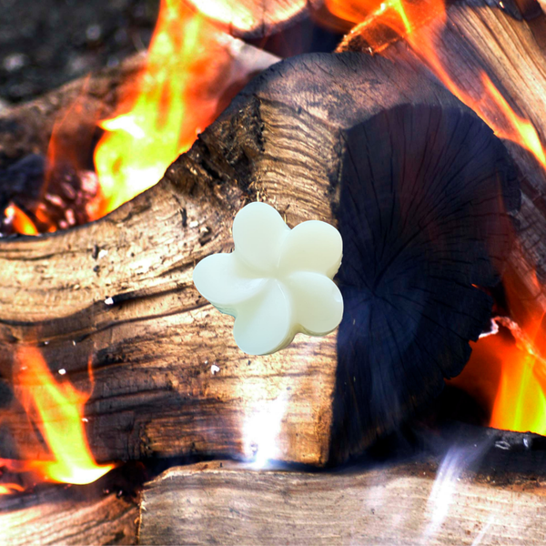 FONDANT PARFUMÉ FEU DE BOIS