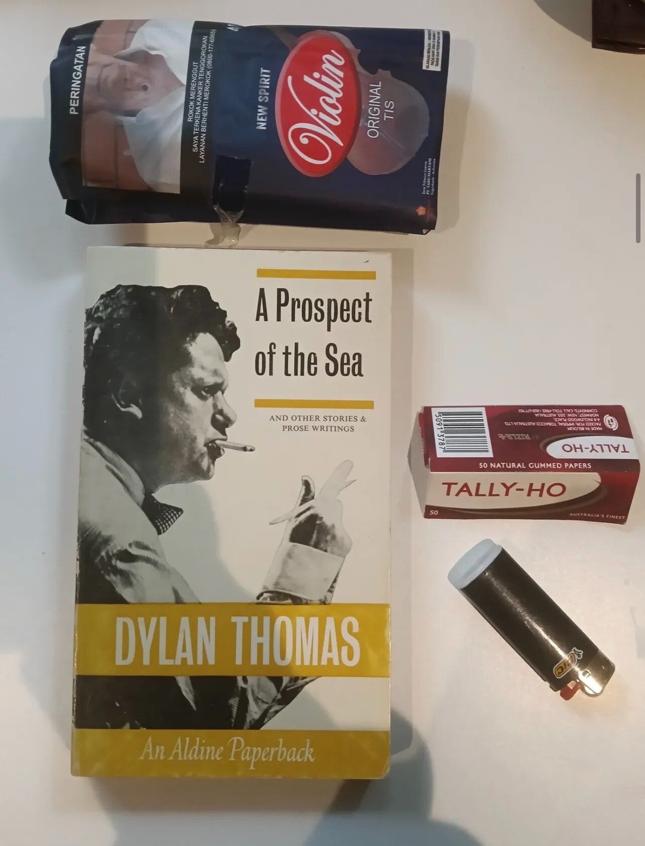 A Prospect of the Sea by Dylan Thomas