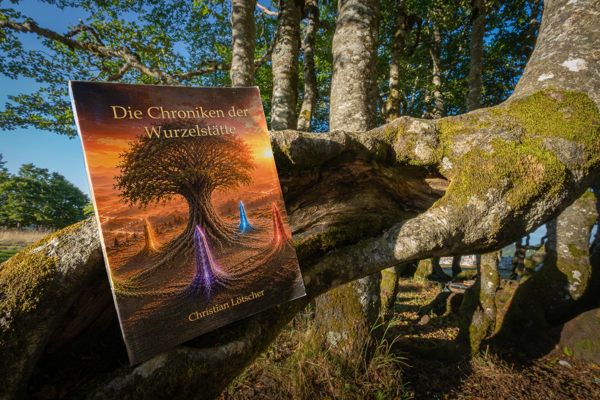 Die Chroniken der Wurzelstätte ist ein Fantasy-Roman von Christian Lötscher auf einem verwachsenen Baum
