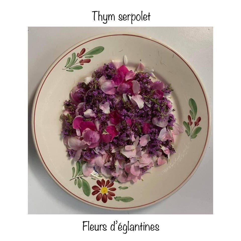 Vase De Résine De Jardin Ronde Pour Les Fleurs Et Les Plantes Diana Telcom 77852133