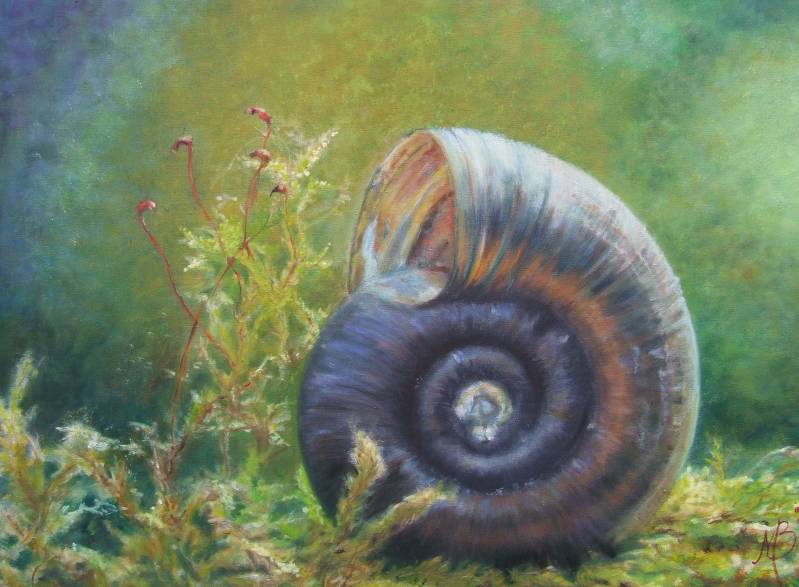 schilderij van posthoornslak