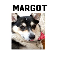 margot-standard.jpg