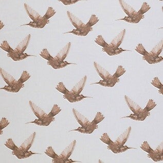 Kolibri Bruin Lebbels.nl