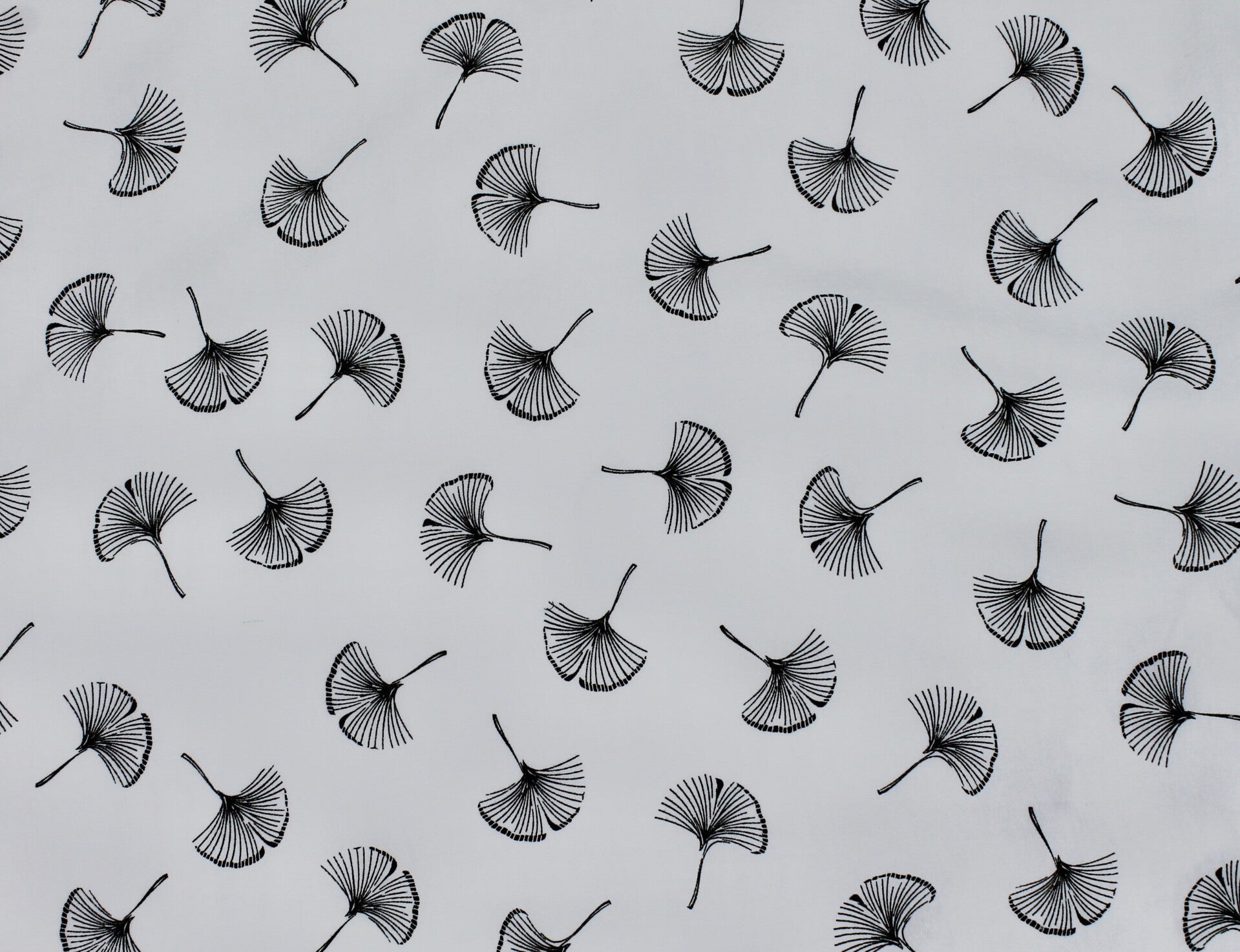 Kolibri Bruin, Lebbels.nl