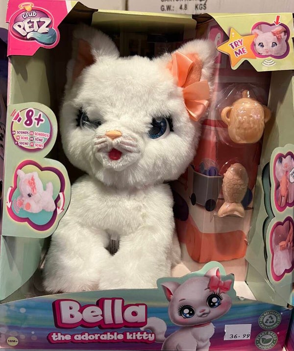 Chat Bella - Katze - cat