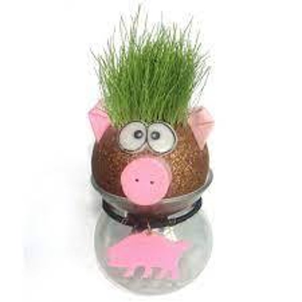 Lustige Grasköpfe - tête à herbe