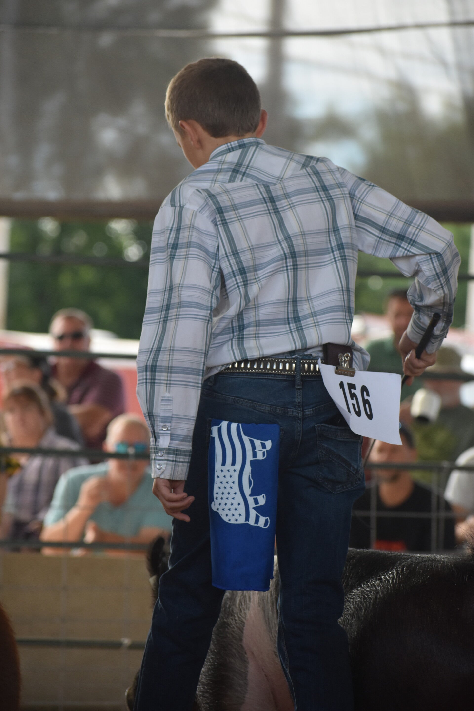 dsc_0011-standard.jpg