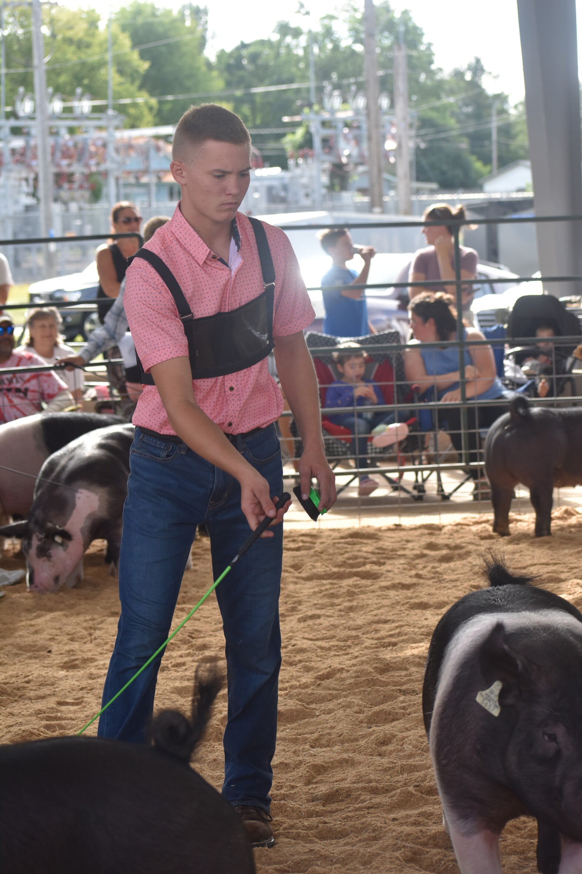 dsc_0023-standard.jpg