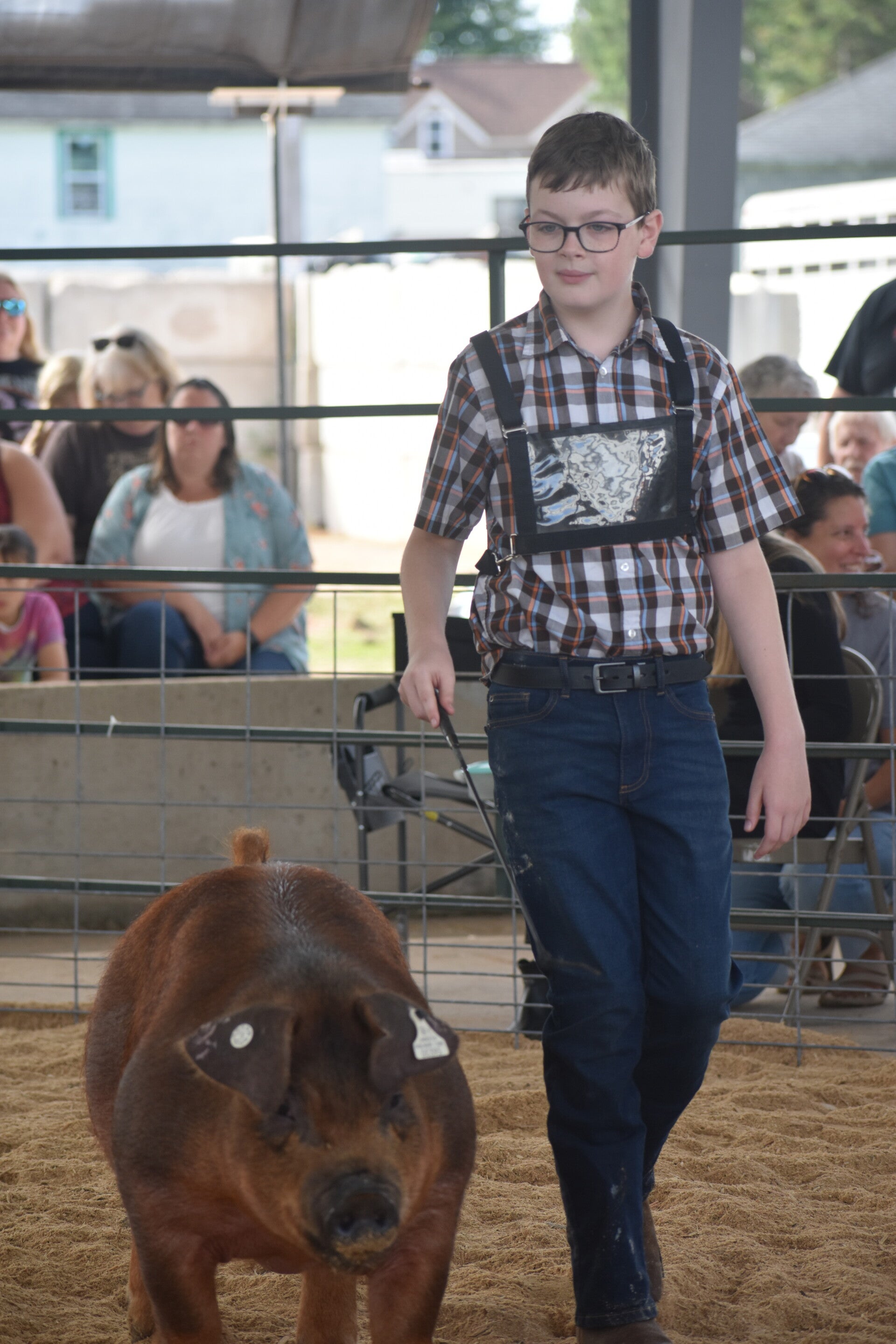 dsc_0026-standard.jpg