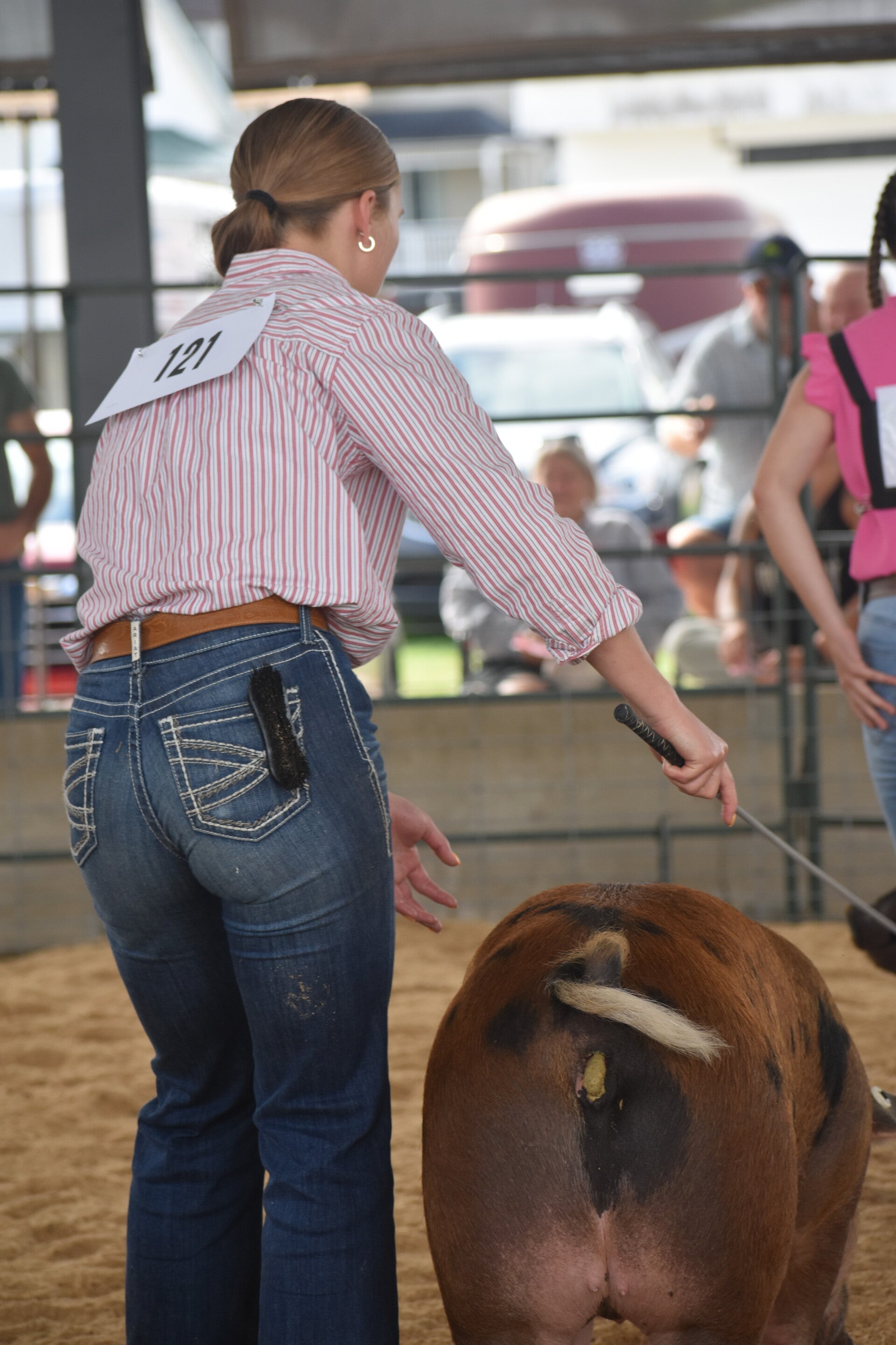 dsc_0058-standard.jpg
