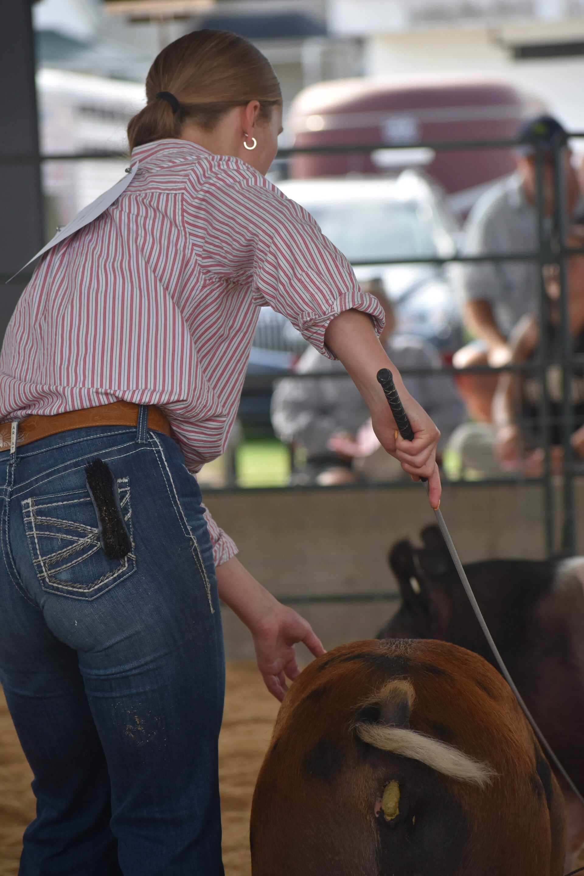 dsc_0059-standard.jpg