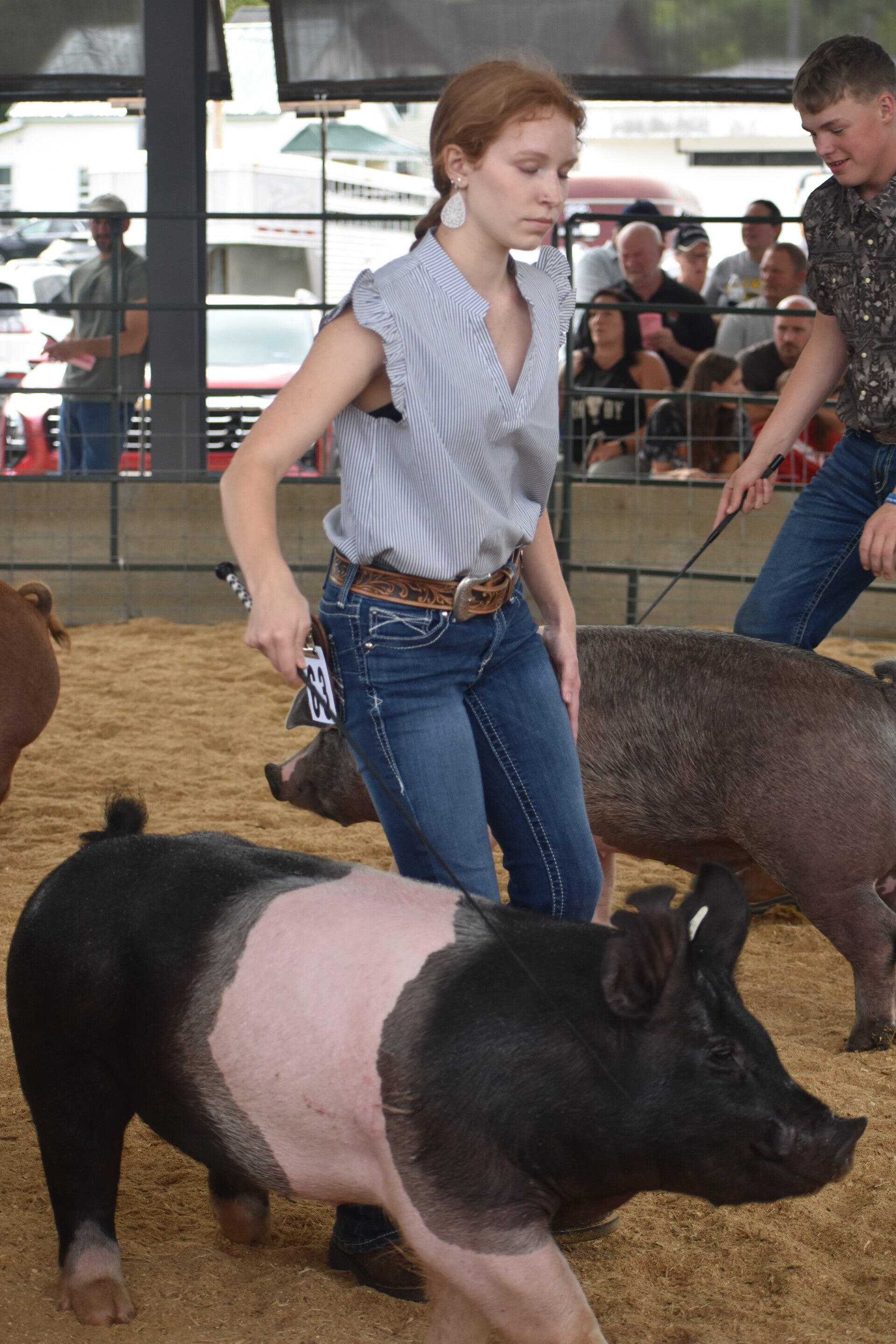 dsc_0080-standard.jpg