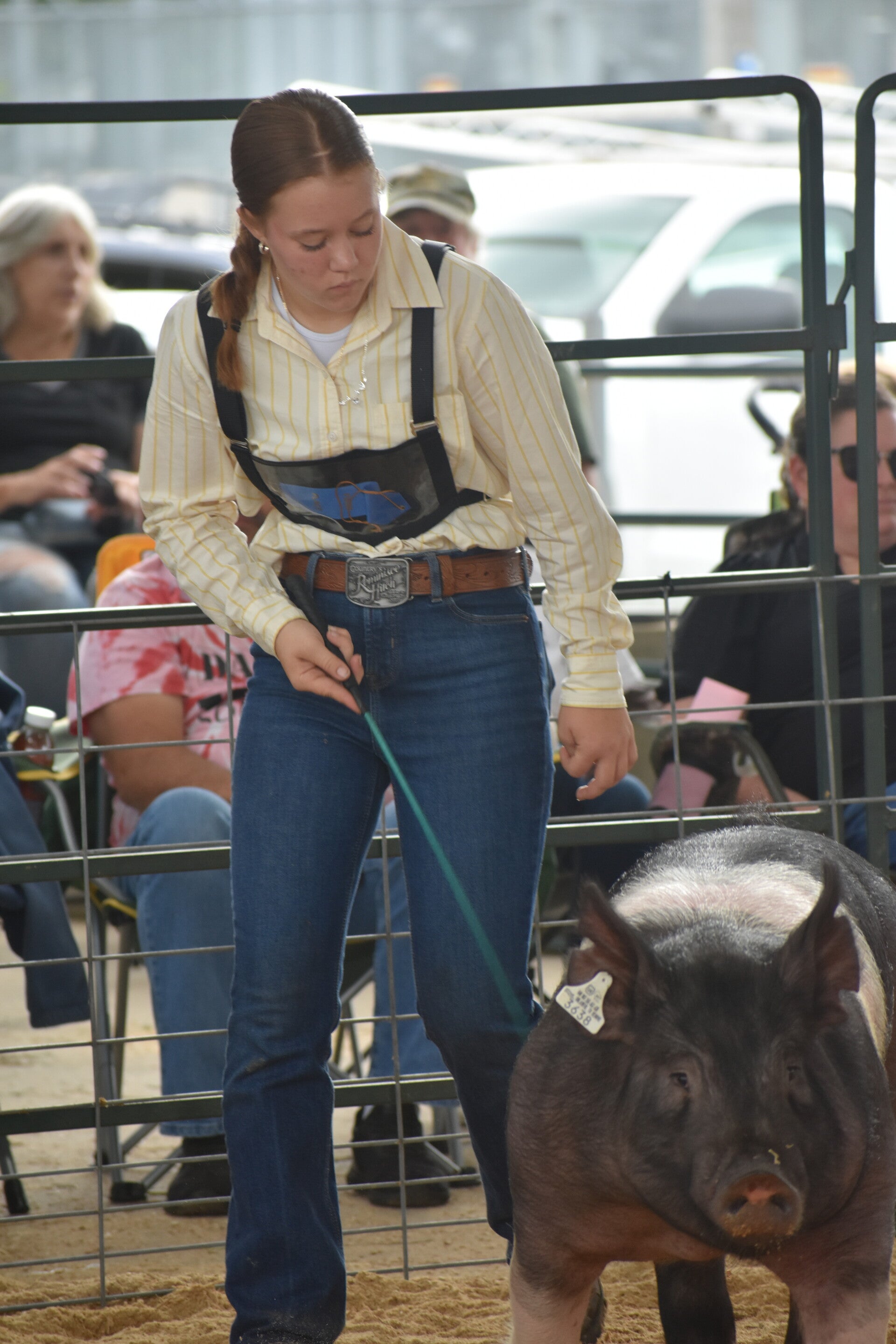dsc_0099-standard.jpg
