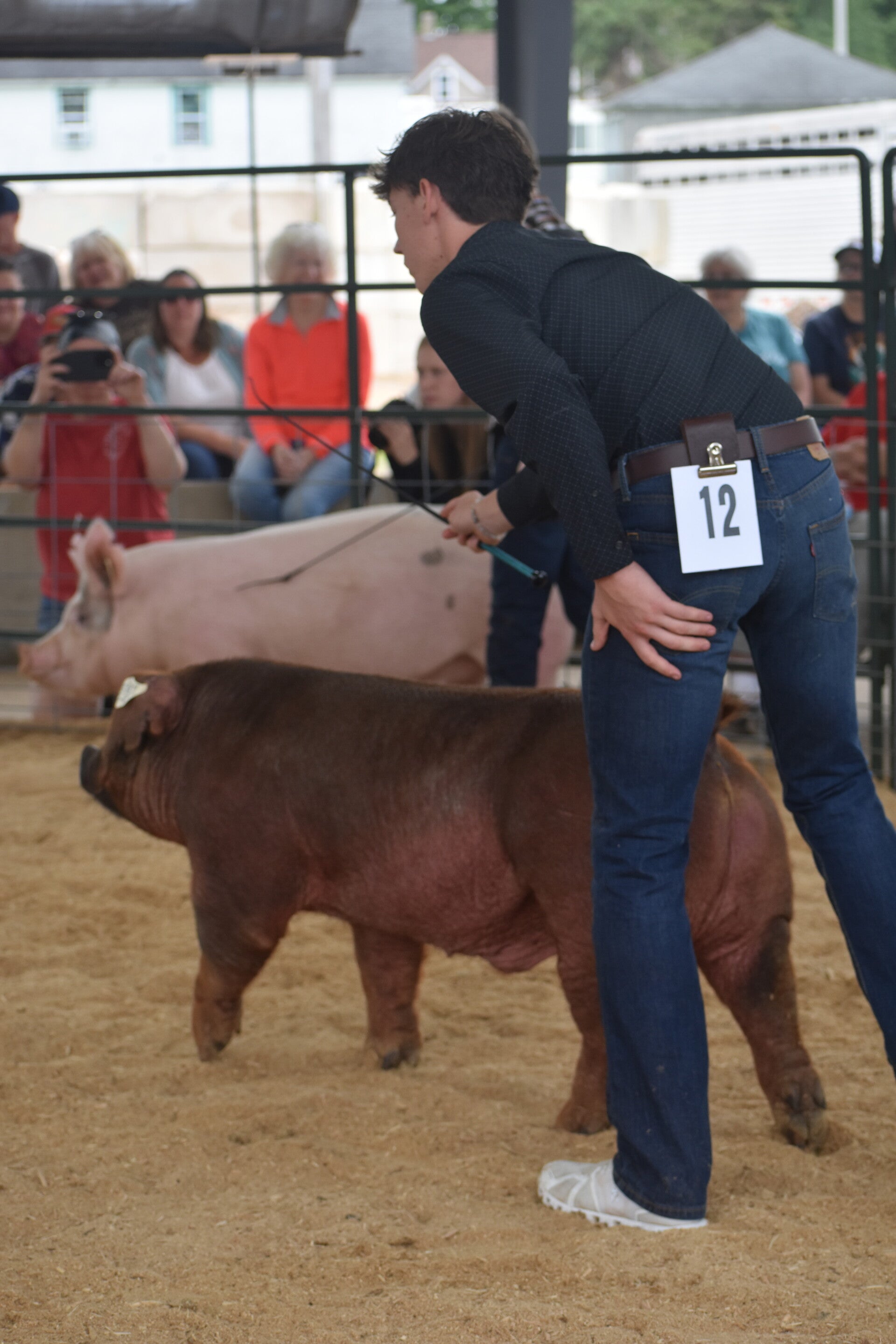 dsc_0102-standard.jpg