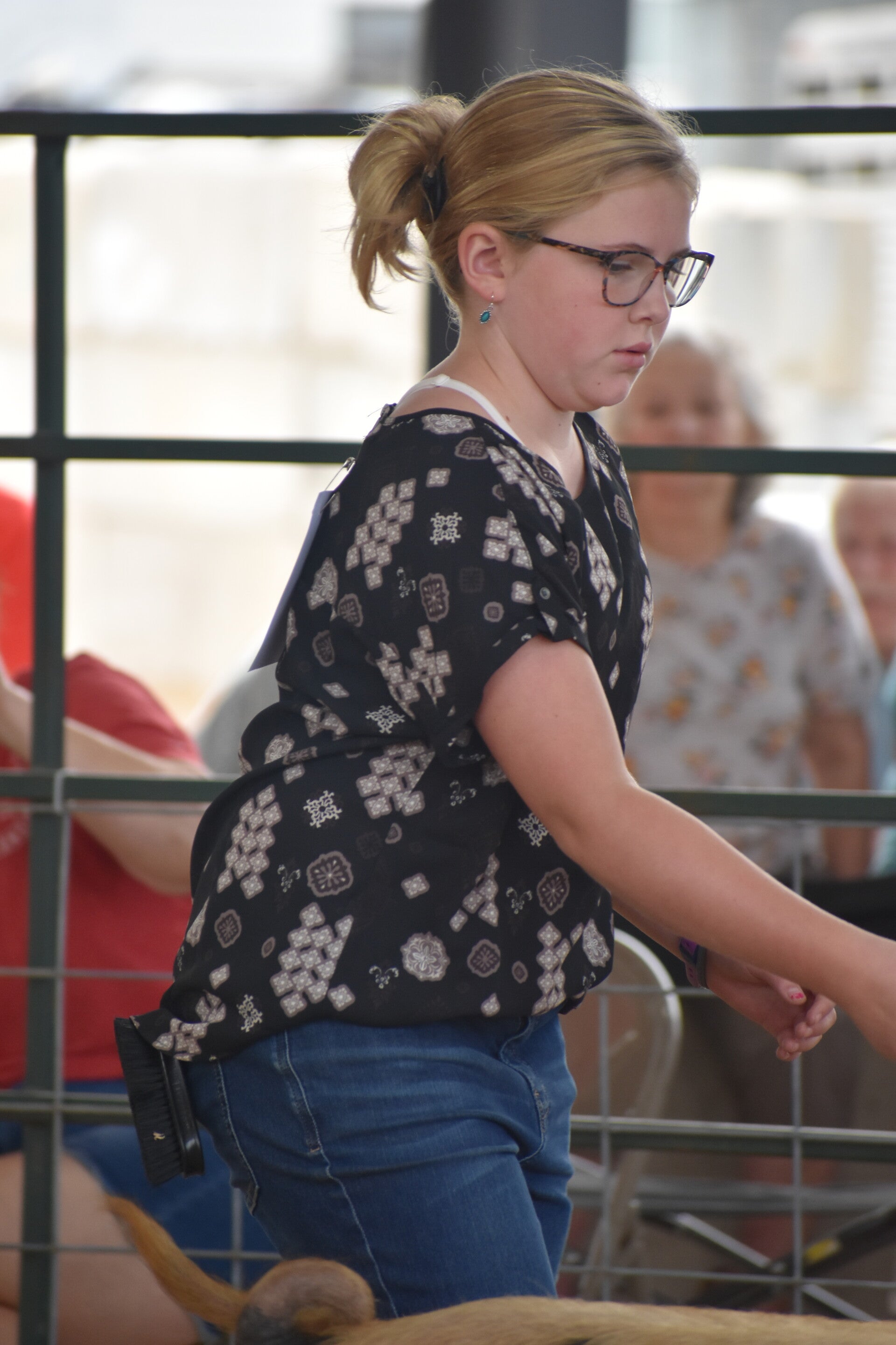 dsc_0124-standard.jpg
