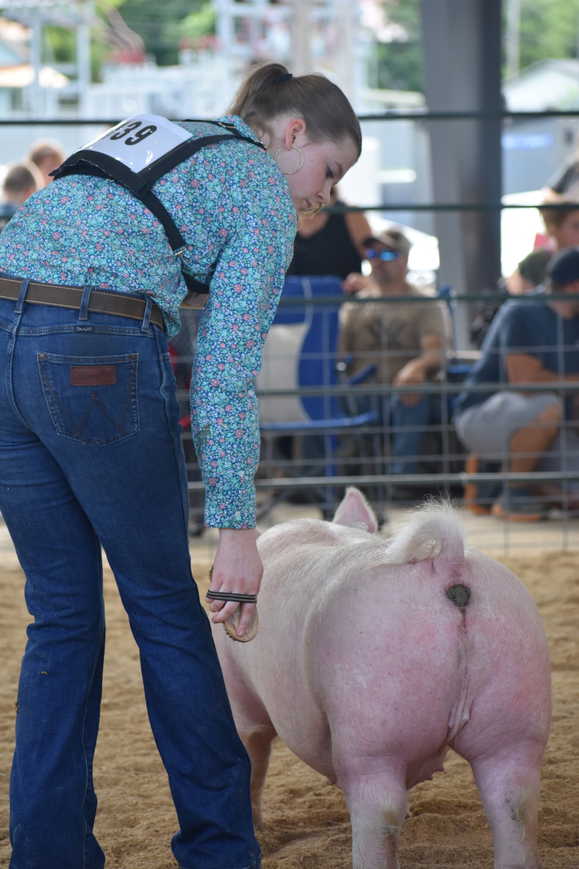 dsc_0146-standard.jpg