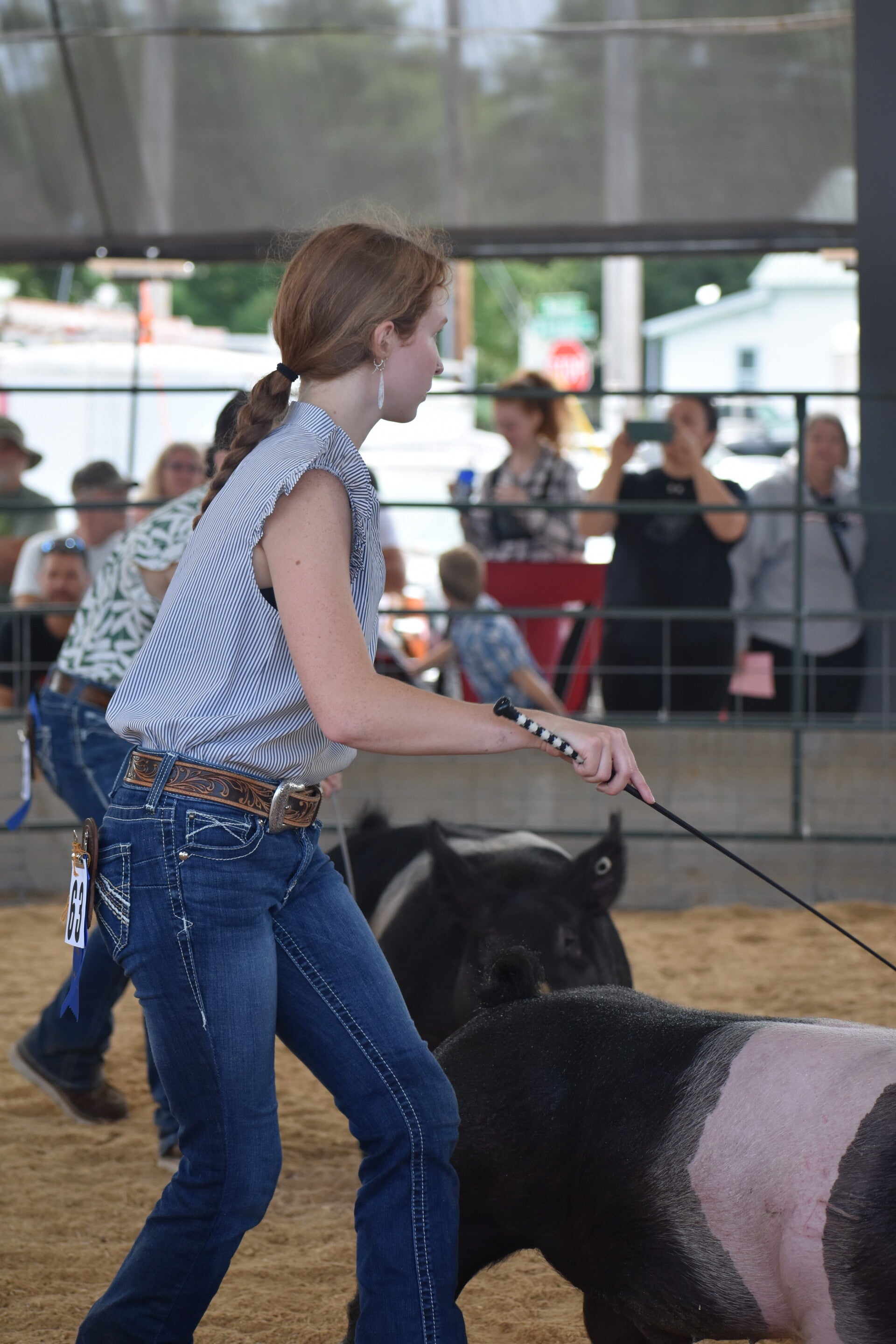 dsc_0148-standard.jpg