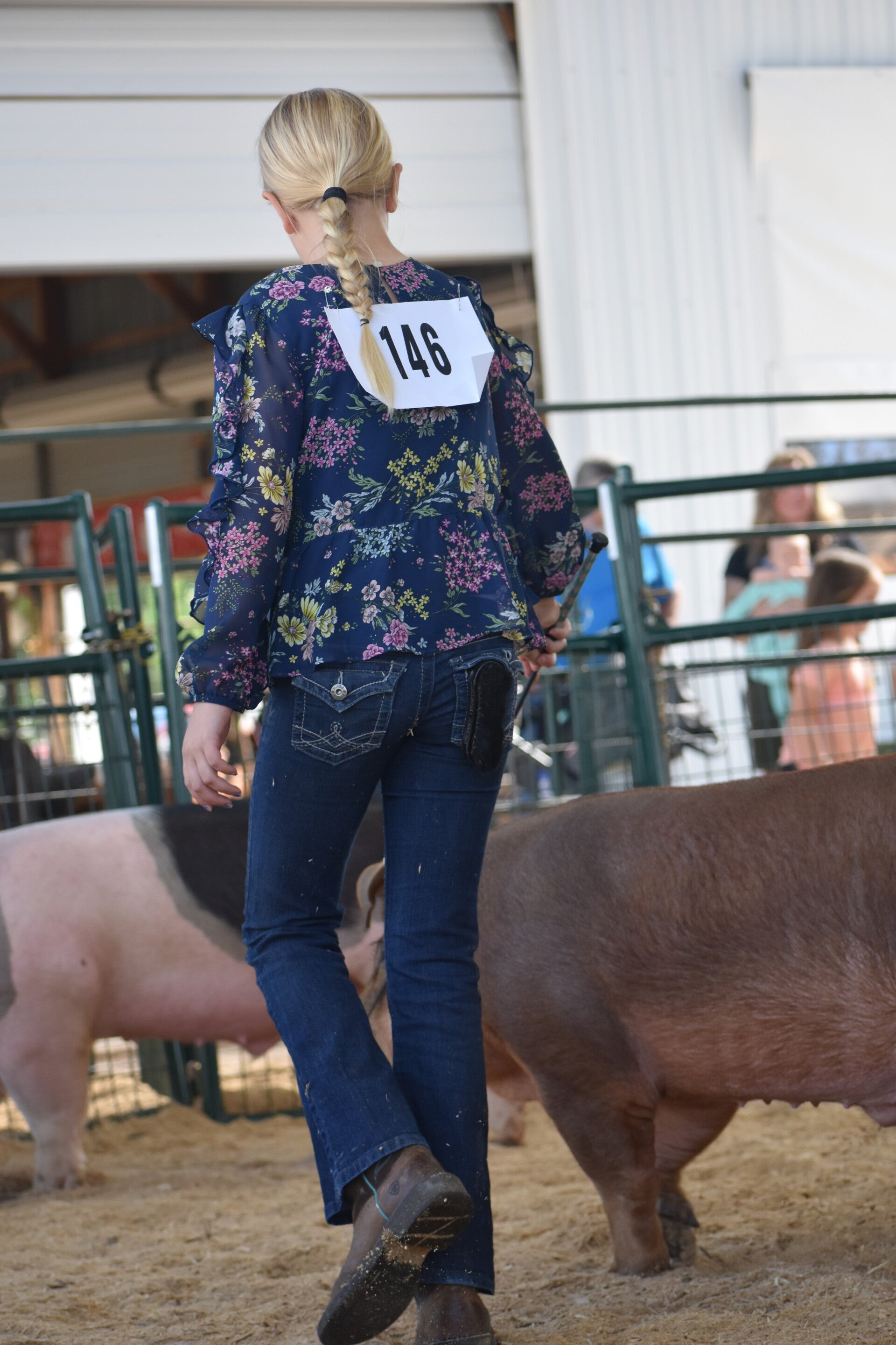 dsc_0167-standard.jpg