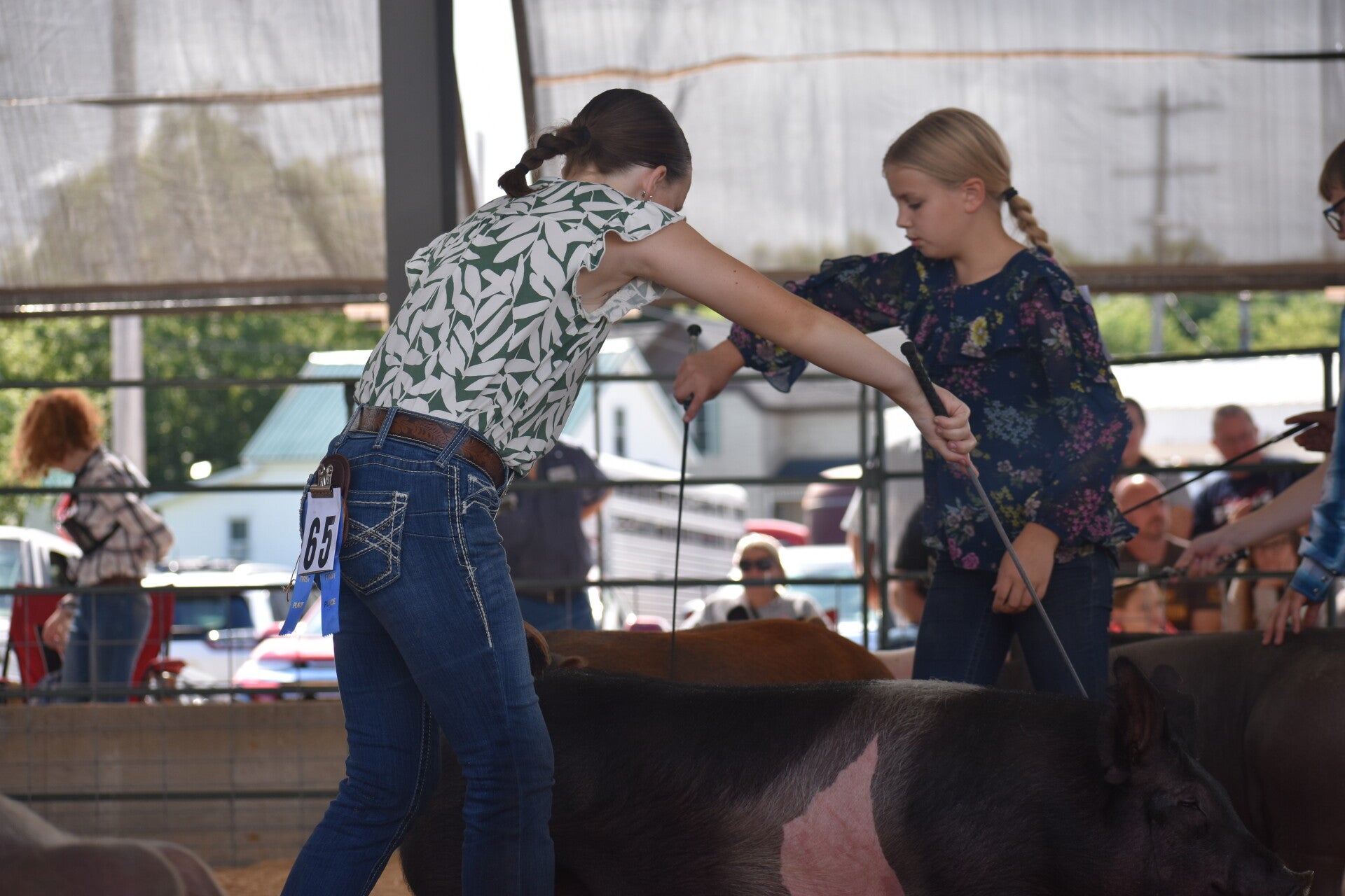 dsc_0171-standard.jpg