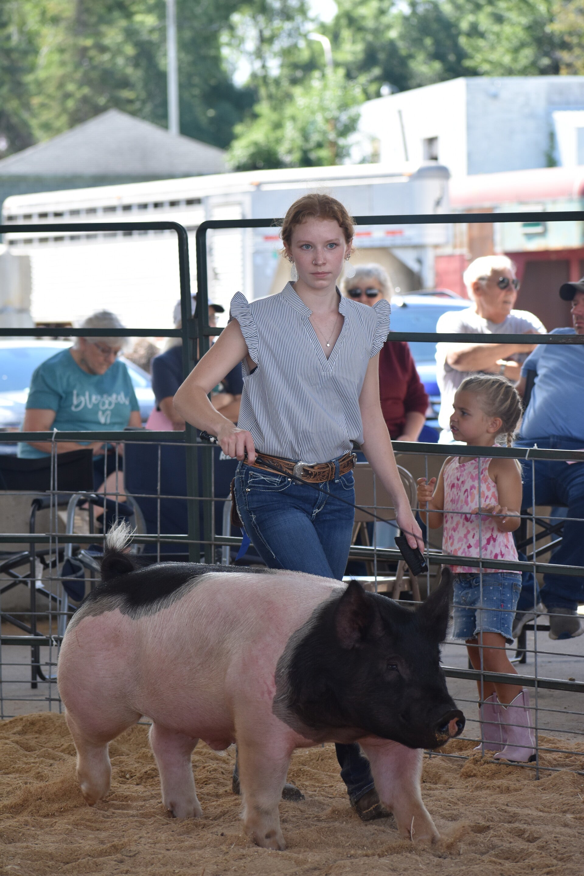 dsc_0179-standard.jpg