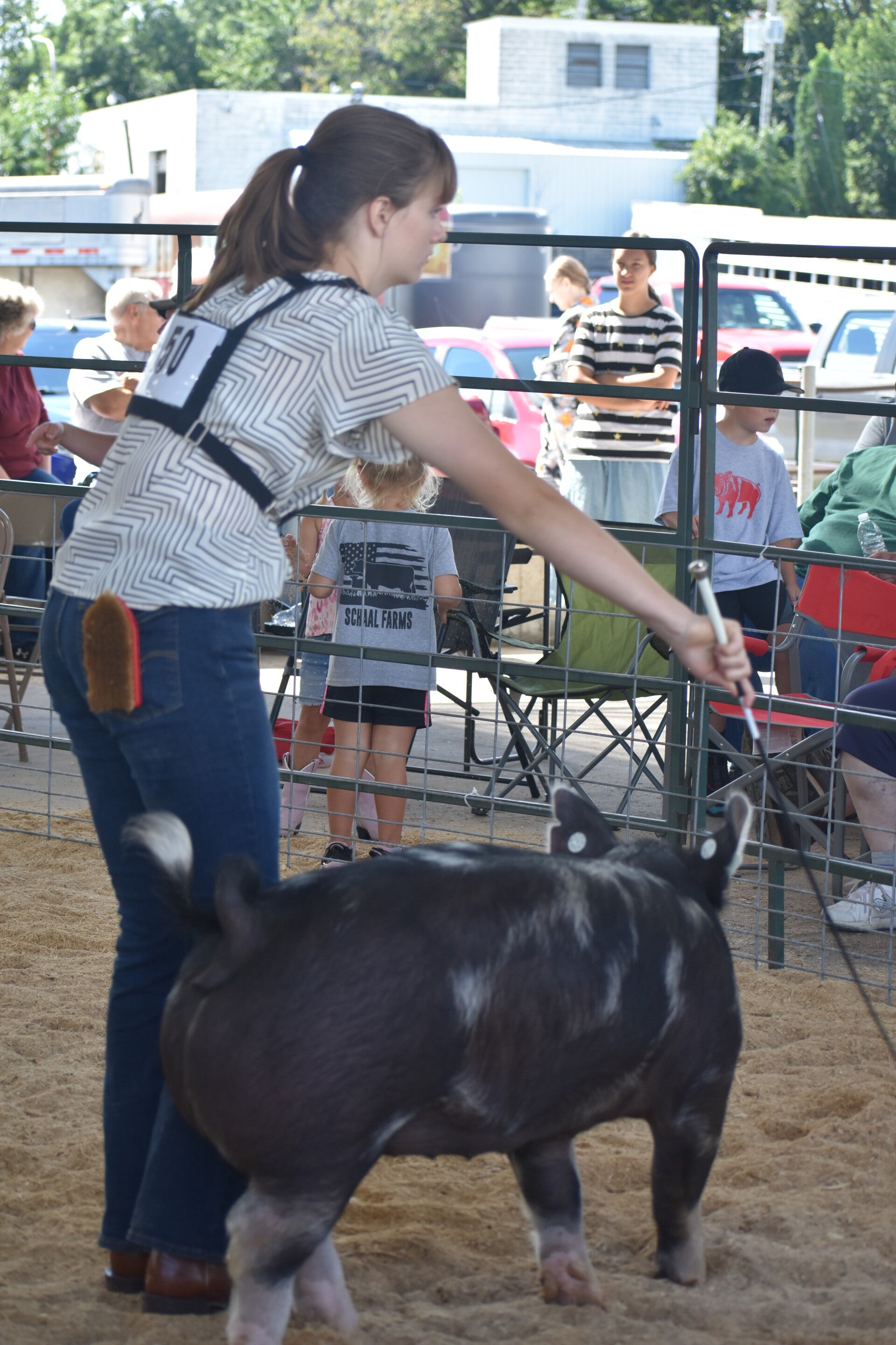 dsc_0183-standard.jpg
