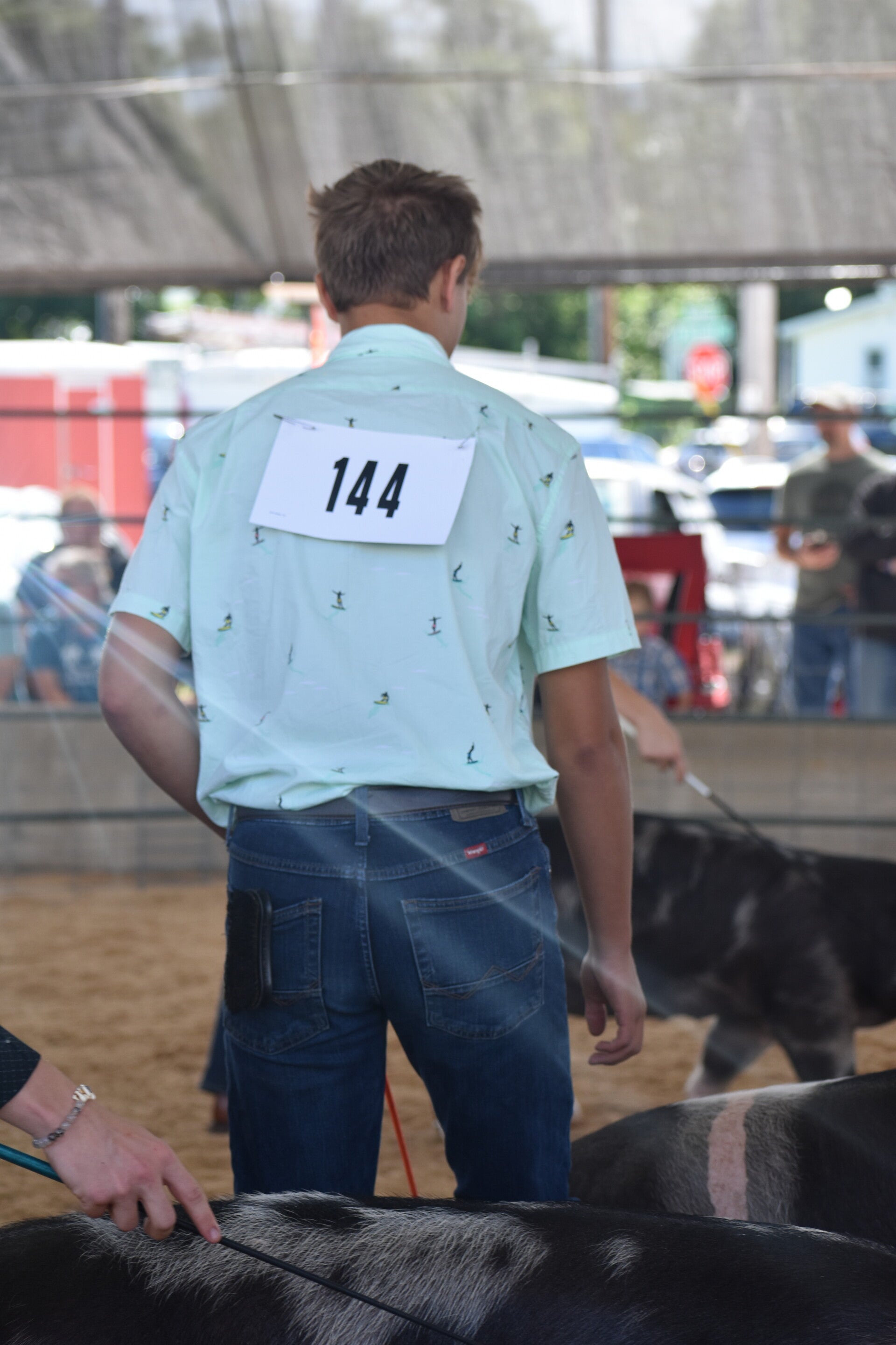 dsc_0188-standard.jpg