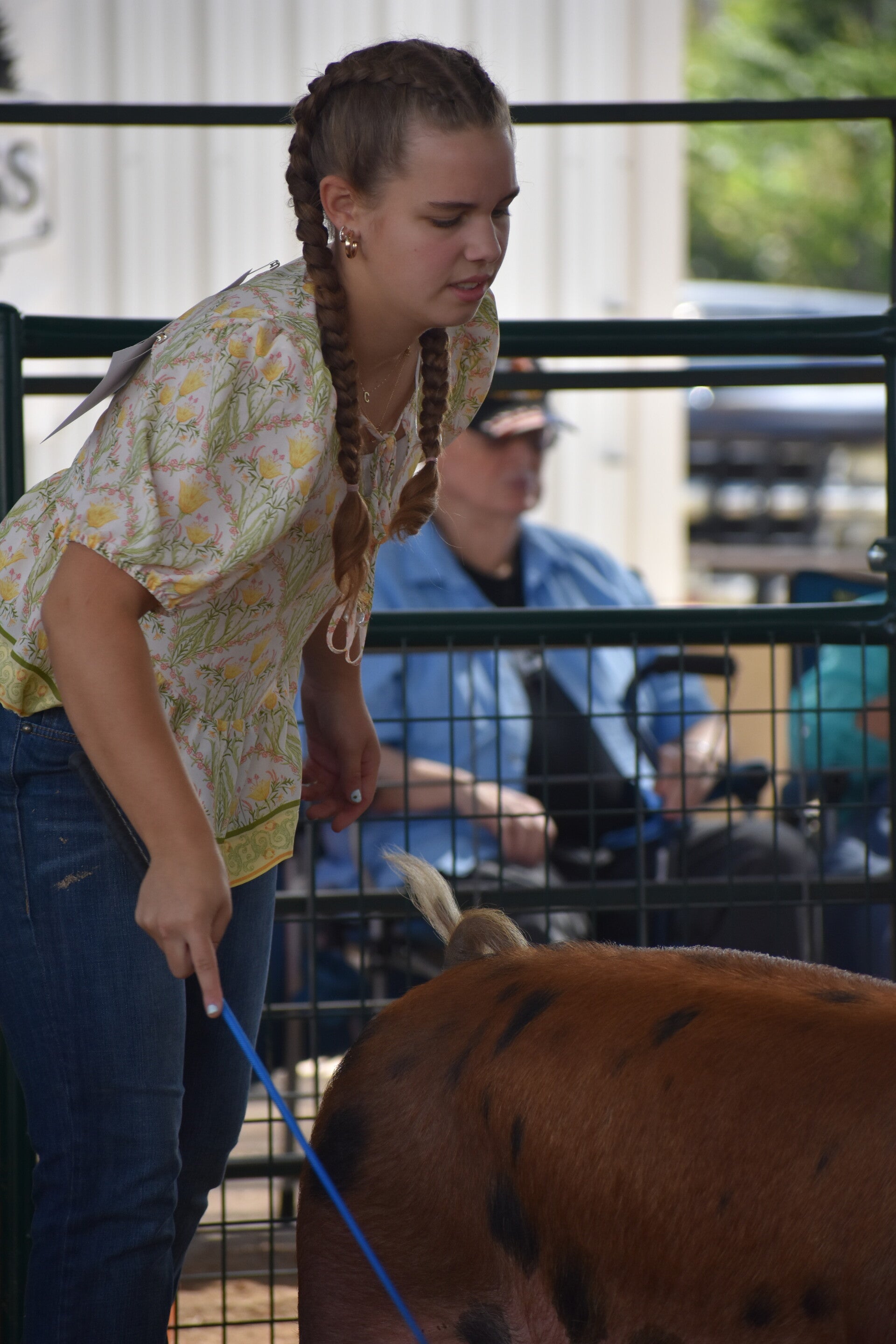 dsc_0189-standard.jpg