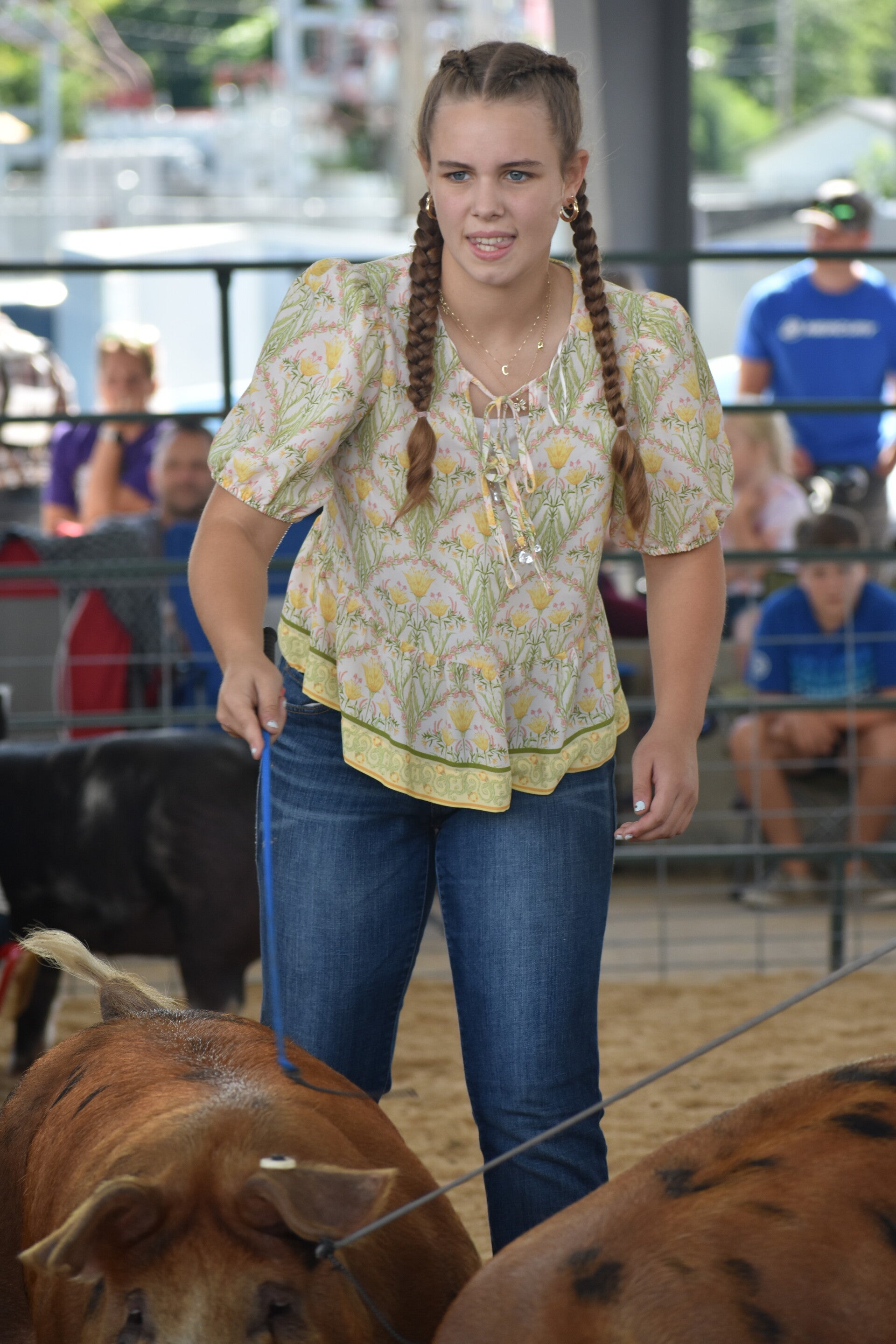 dsc_0192-standard.jpg