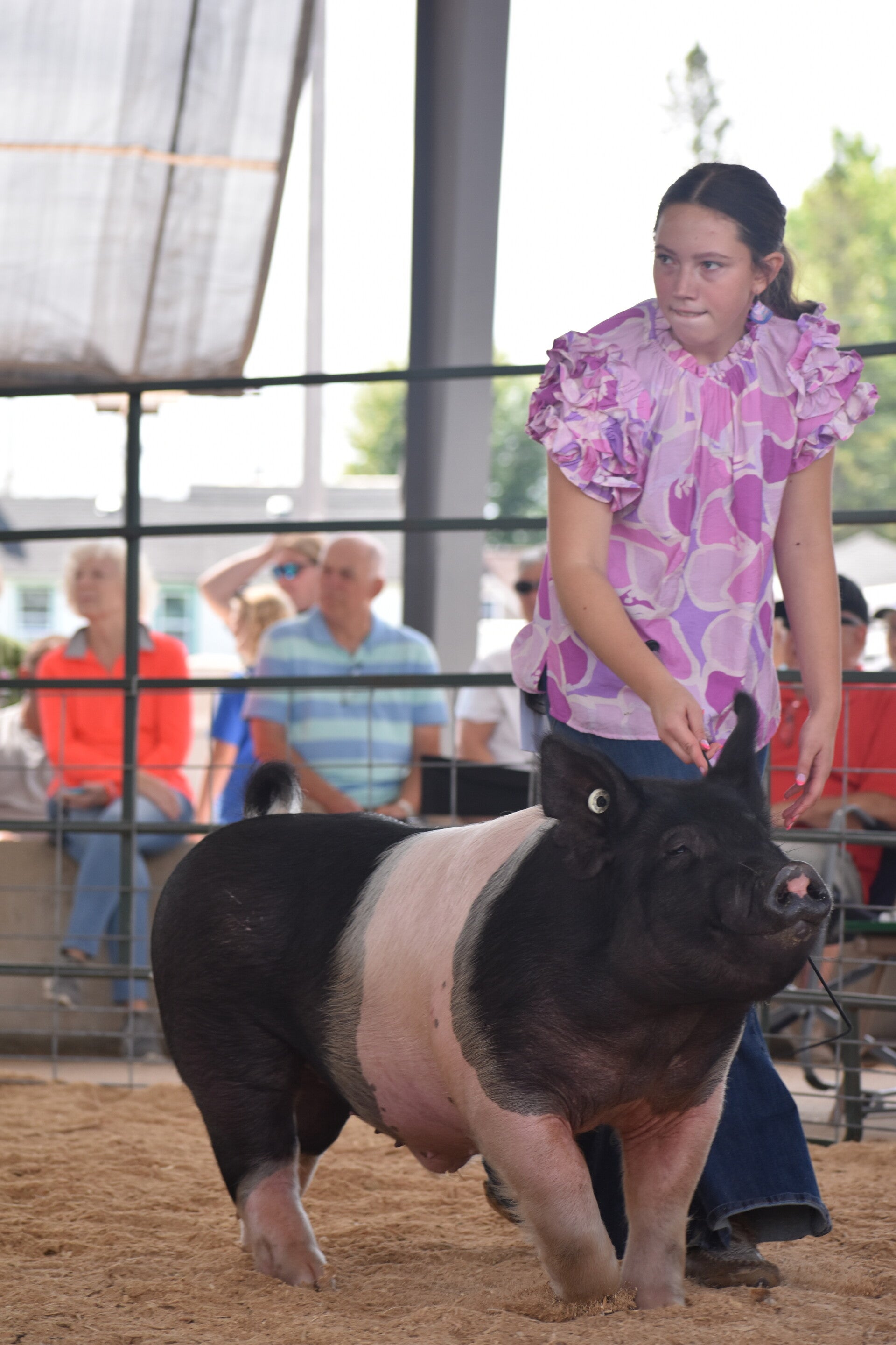 dsc_0203-standard.jpg