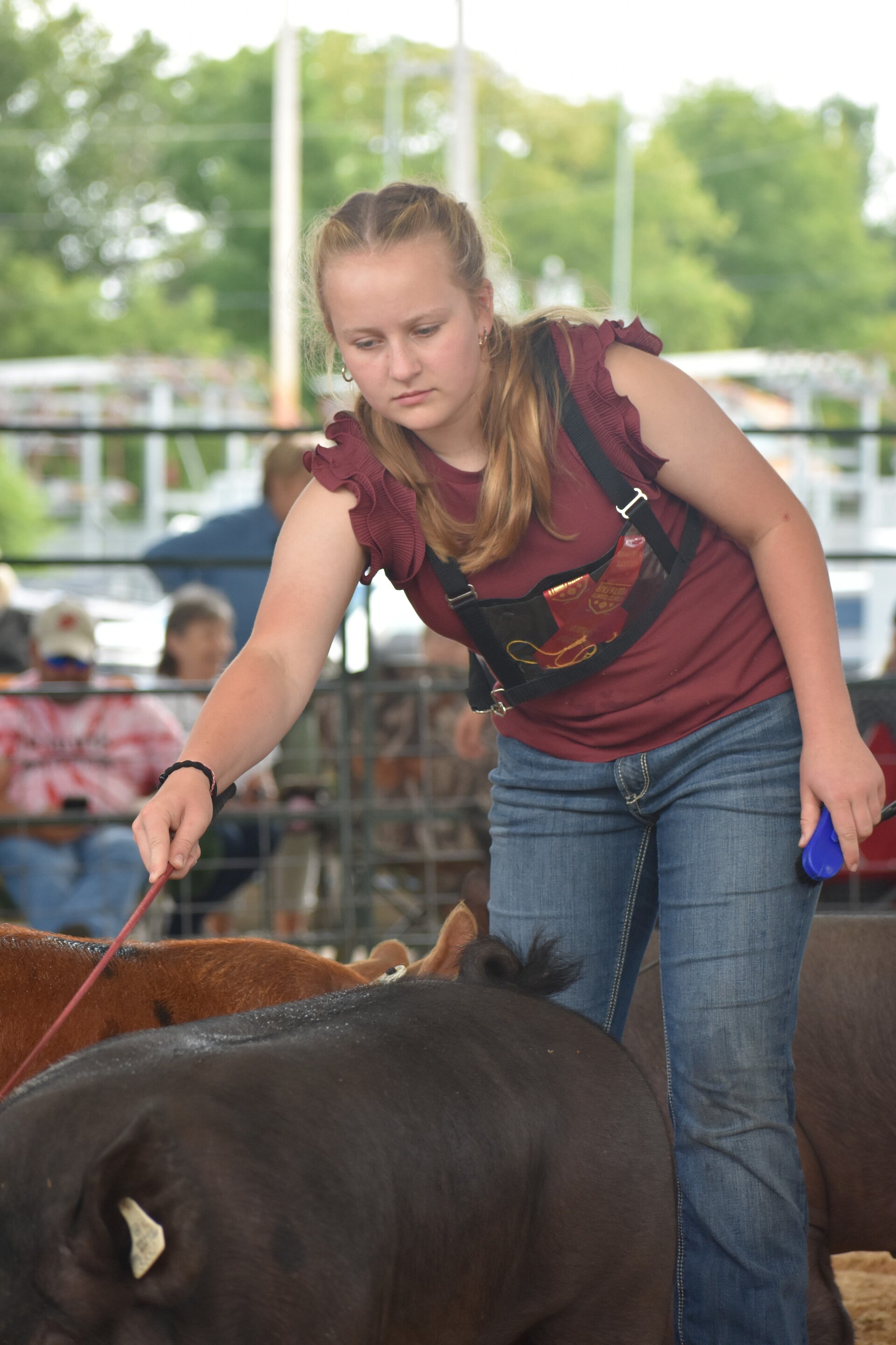 dsc_0210-standard.jpg