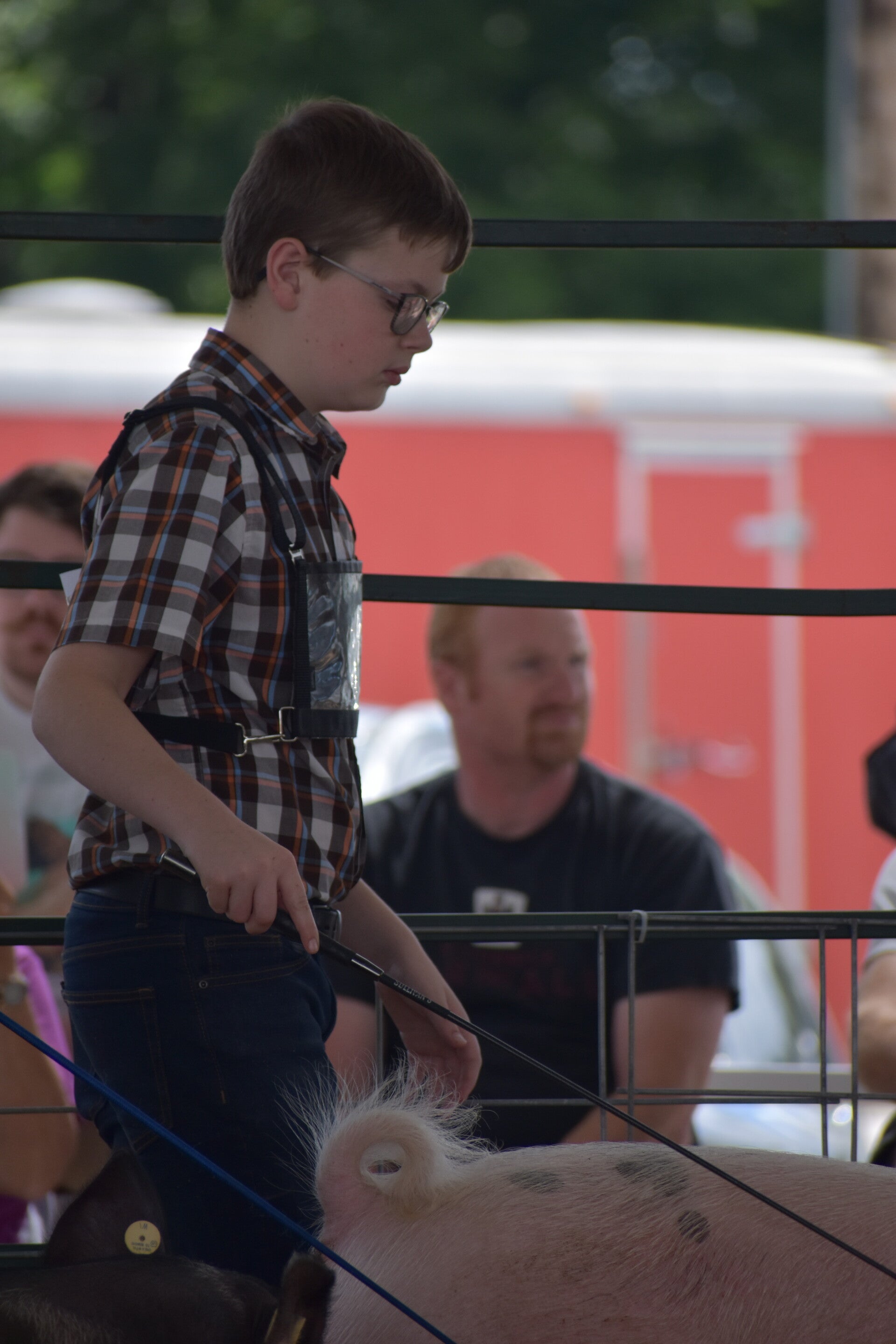 dsc_0216-standard.jpg