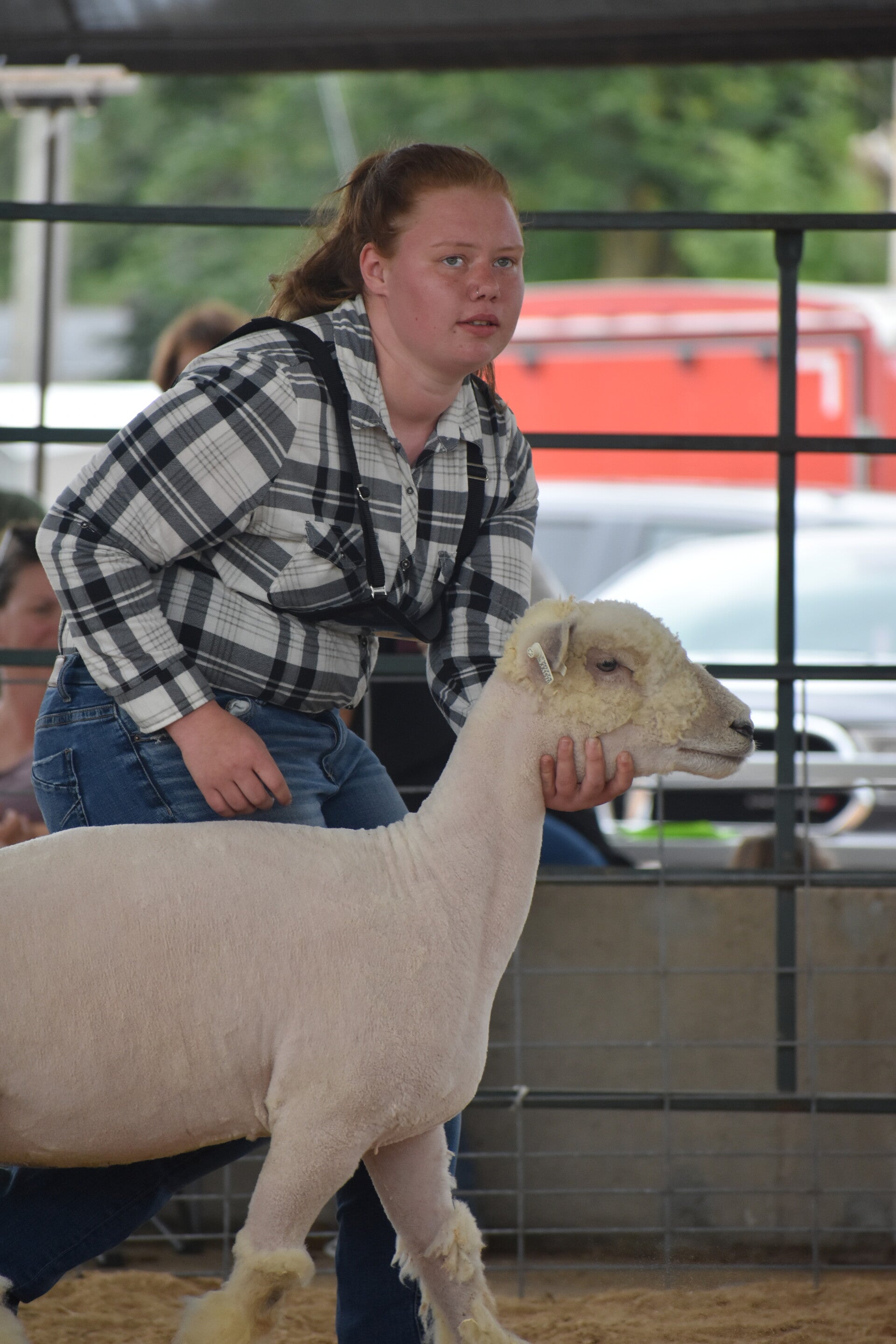 dsc_0276-standard.jpg