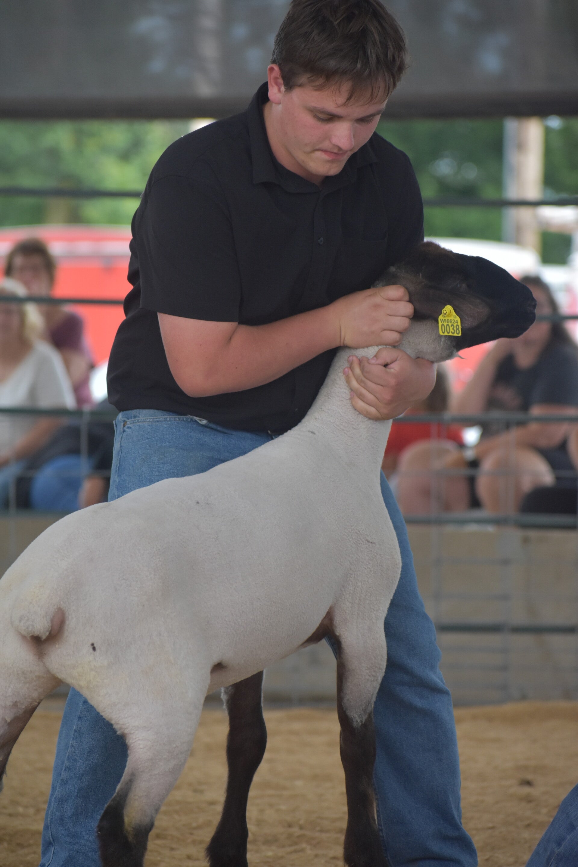 dsc_0336-standard.jpg