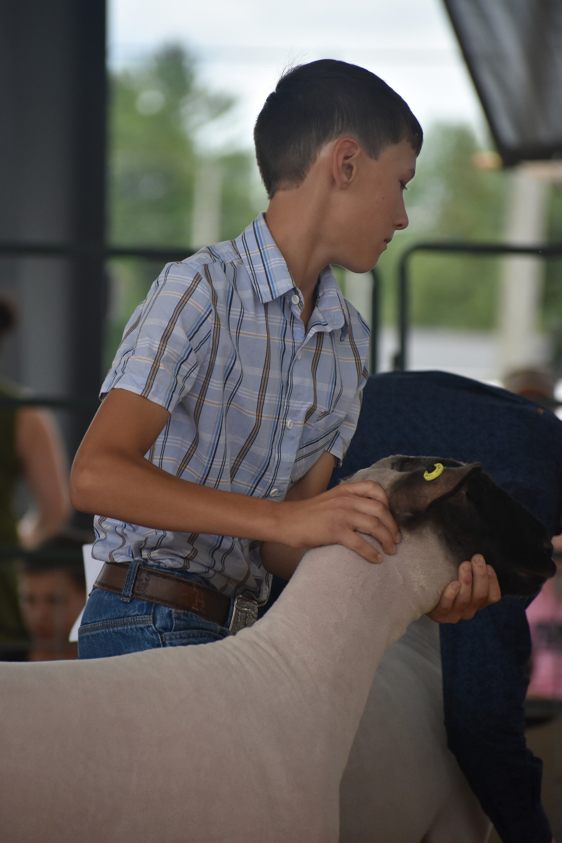 dsc_0353-standard.jpg