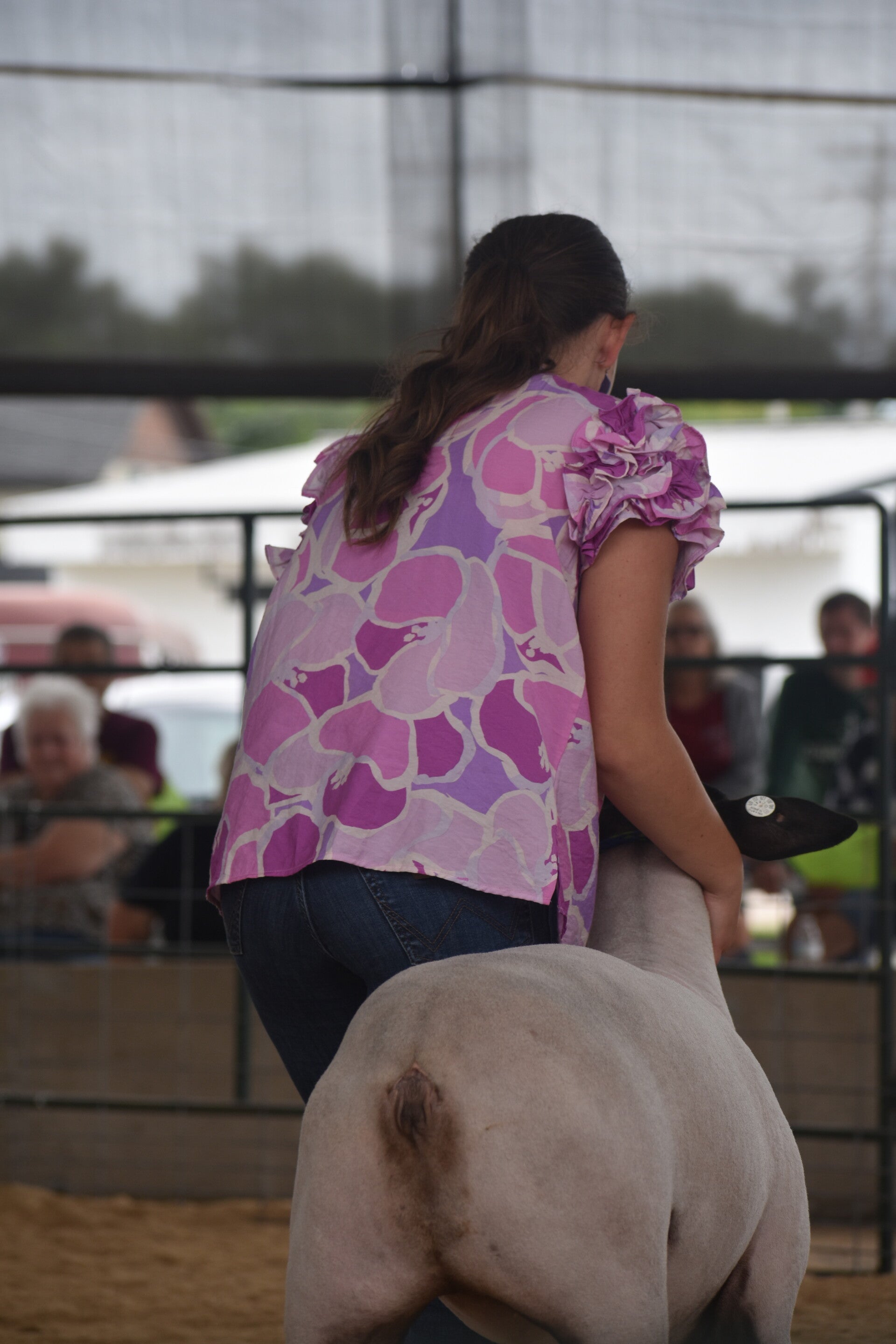 dsc_0358-standard.jpg