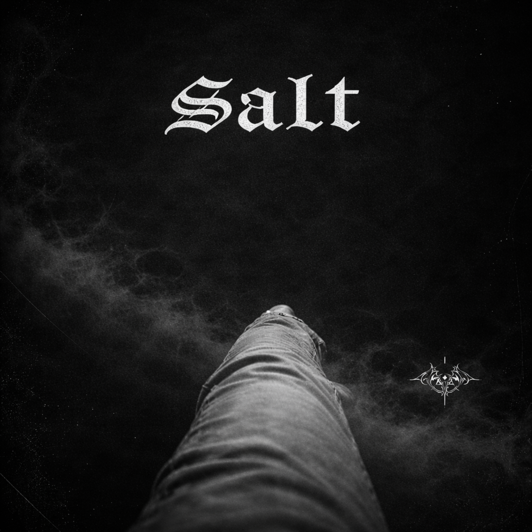 Salt Mp3