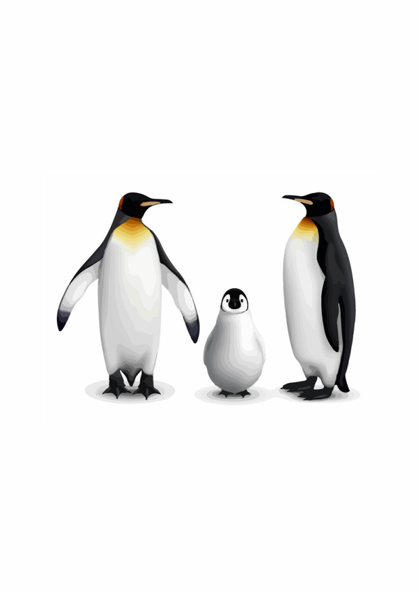 Muursticker Koningspinguin familie 120 x 84 cm