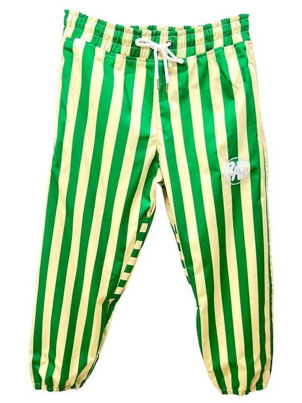 Green & Tan Striped Snow Pants