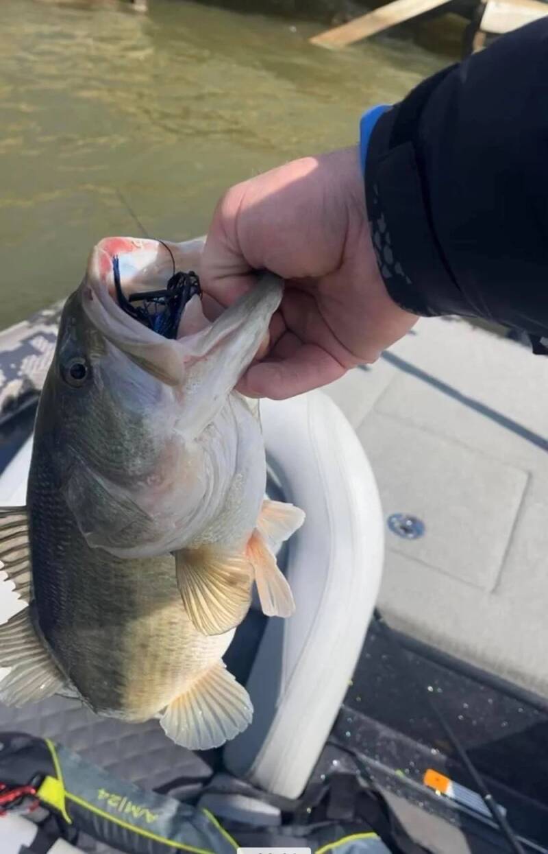 big-bass-choked_1710098108-standard.jpg